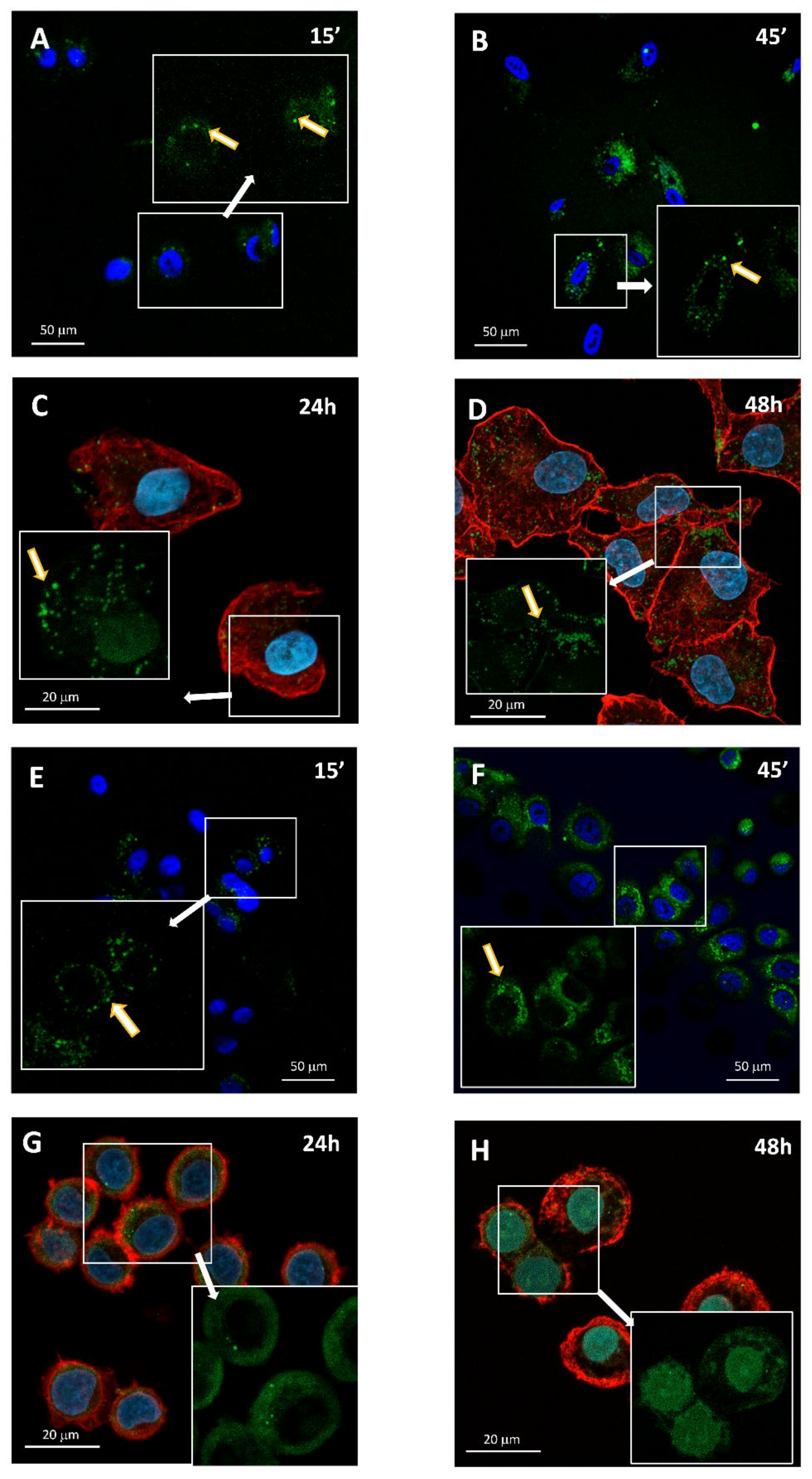 Molecules 27 04615 g003 Molecules 27 04615 g003
