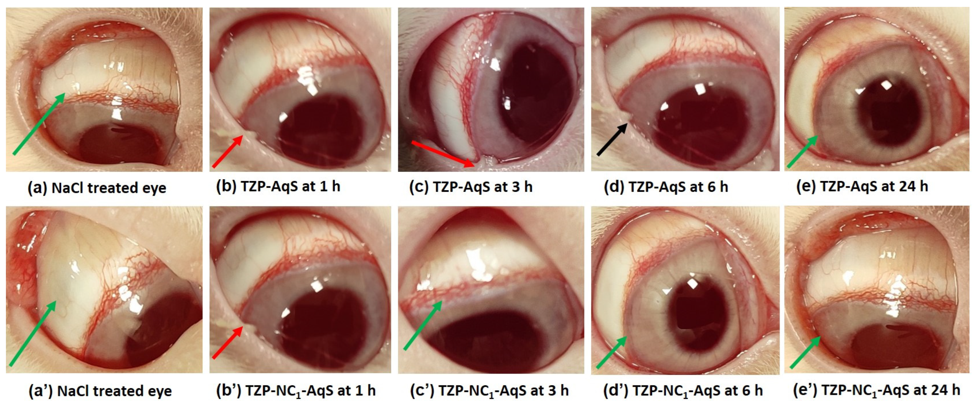 Molecules 27 04619 g002 Molecules 27 04619 g002