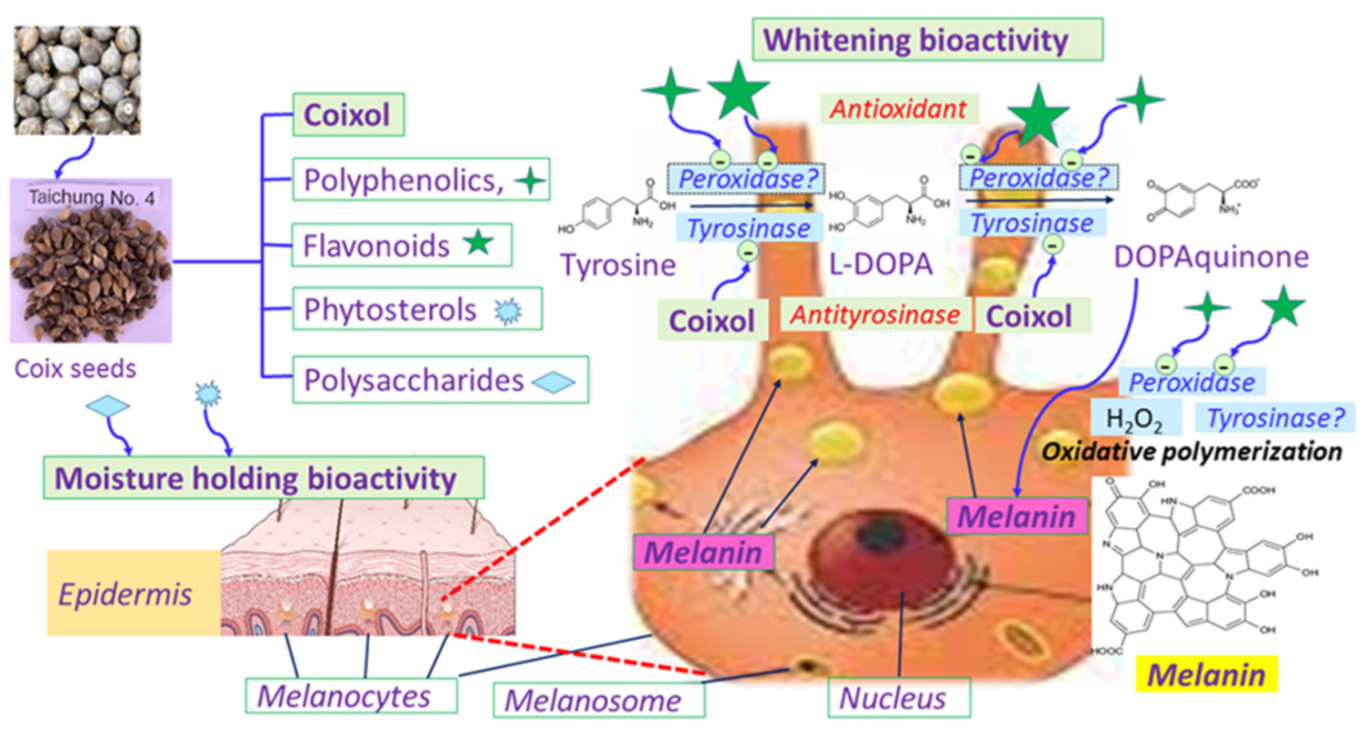 Molecules 27 04626 g002