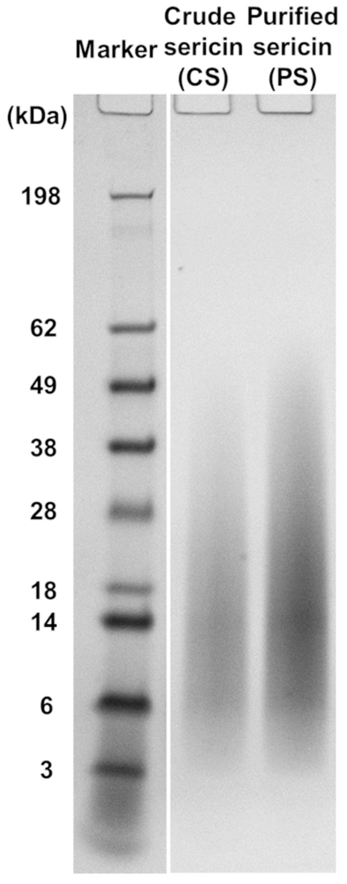 Molecules 27 04635 g001