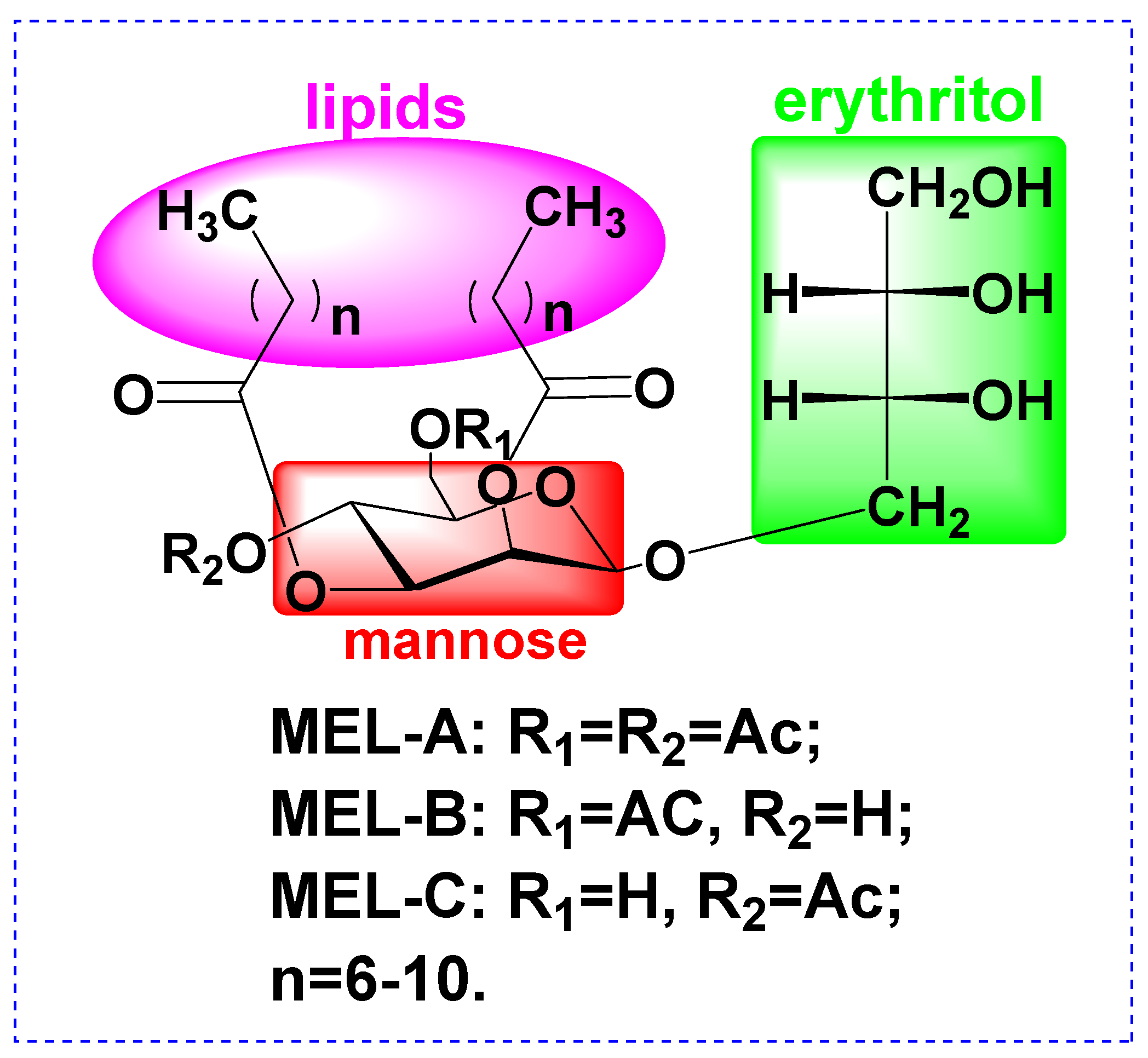 Molecules 27 04648 g001