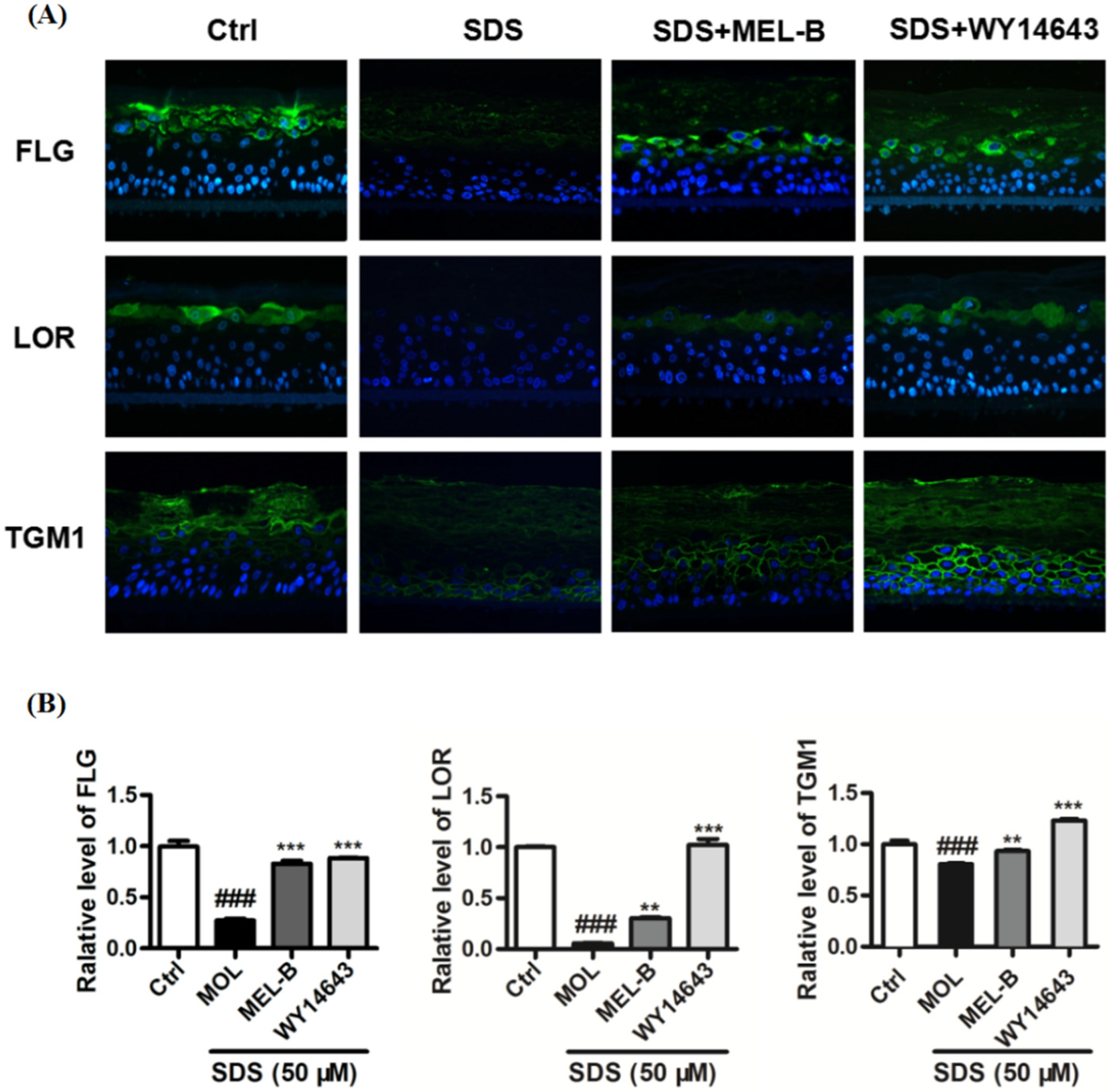 Molecules 27 04648 g007