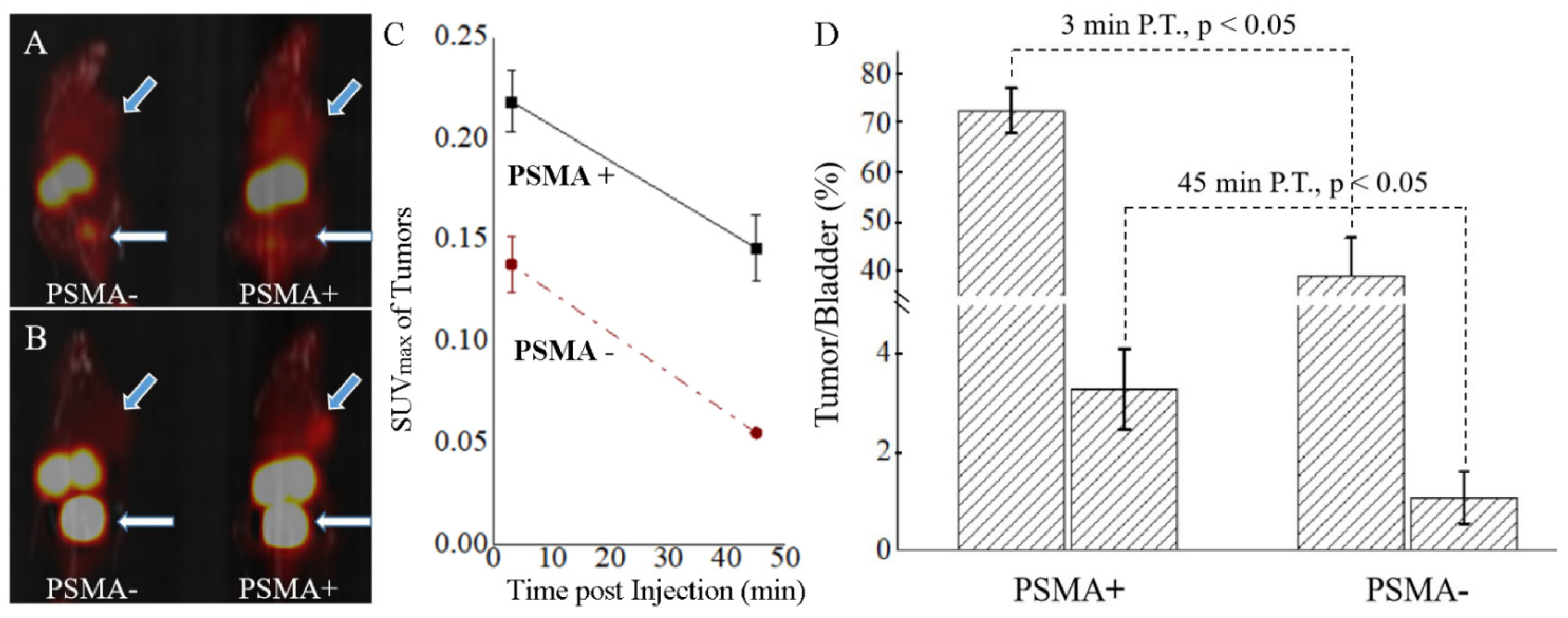Molecules 27 04661 g001