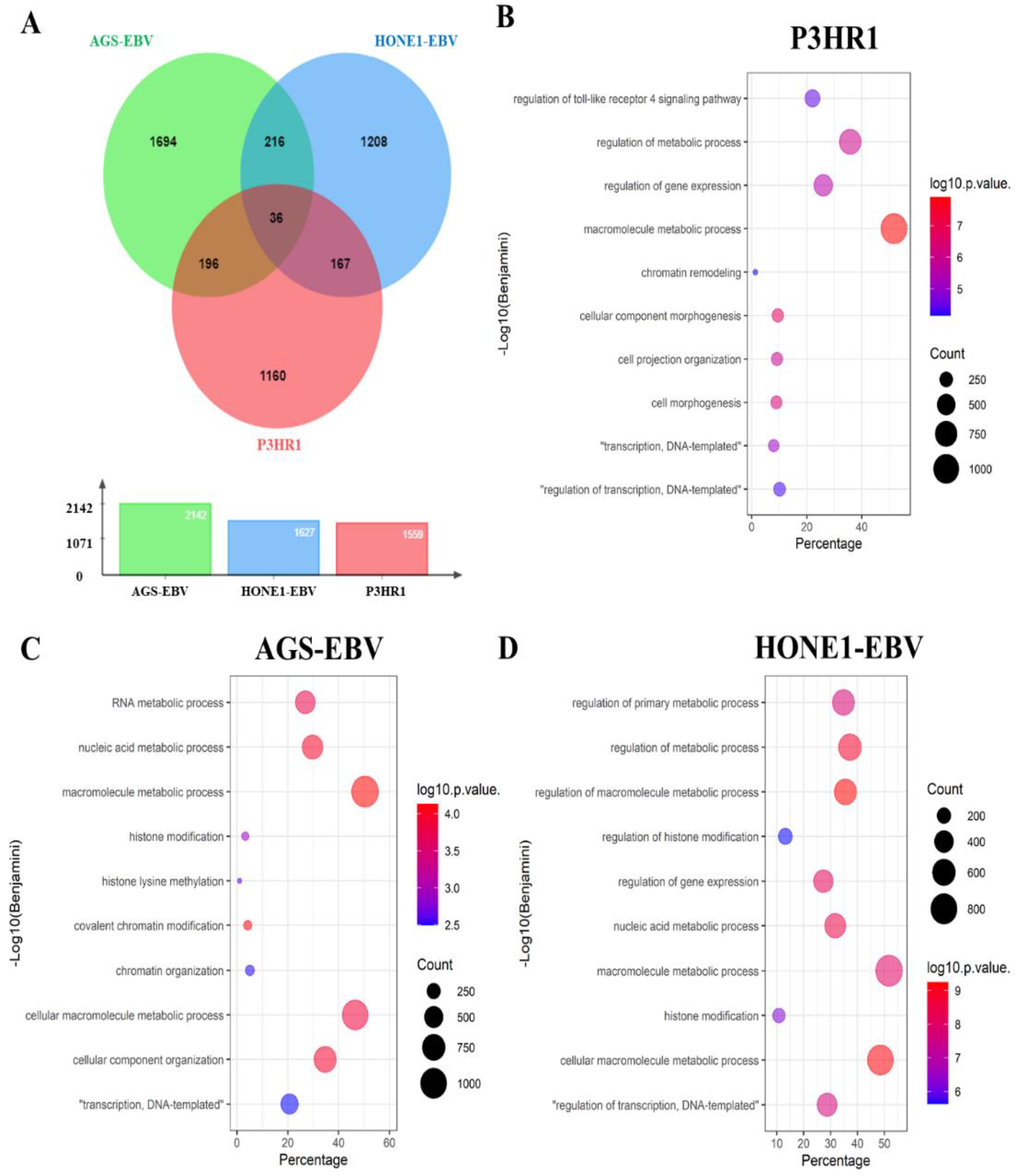 Molecules 27 04666 g004