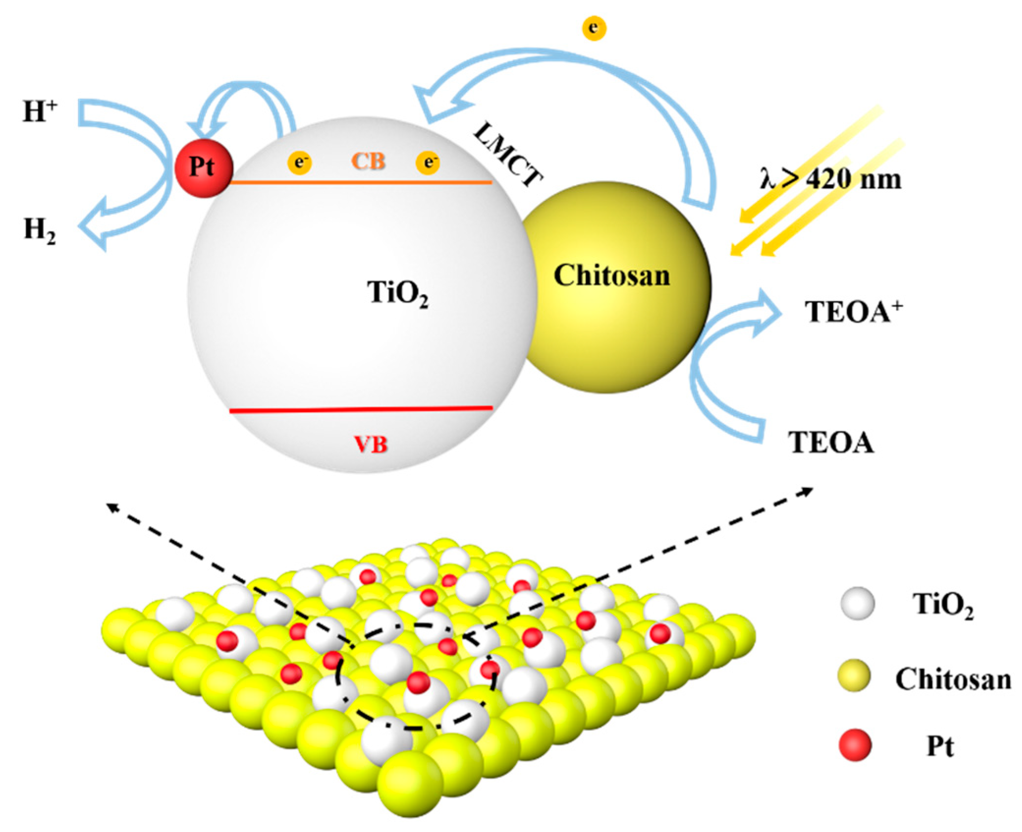 Molecules 27 04673 g007