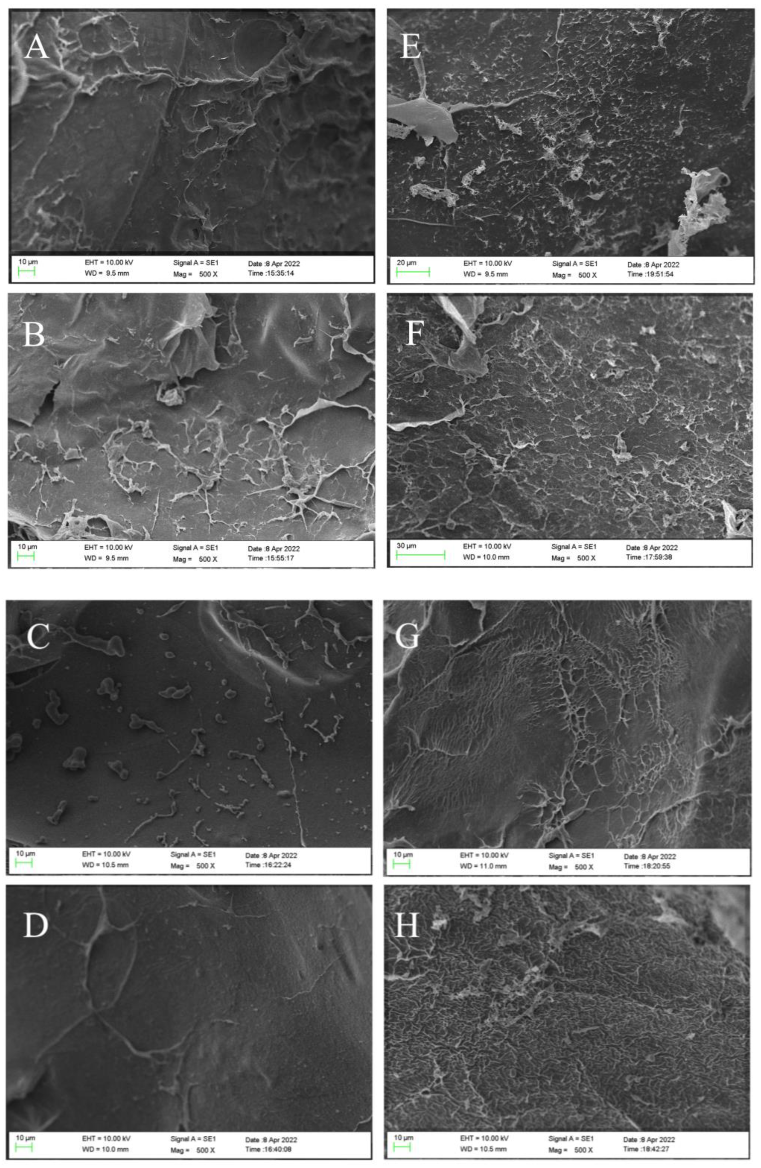 Molecules 27 04686 g002