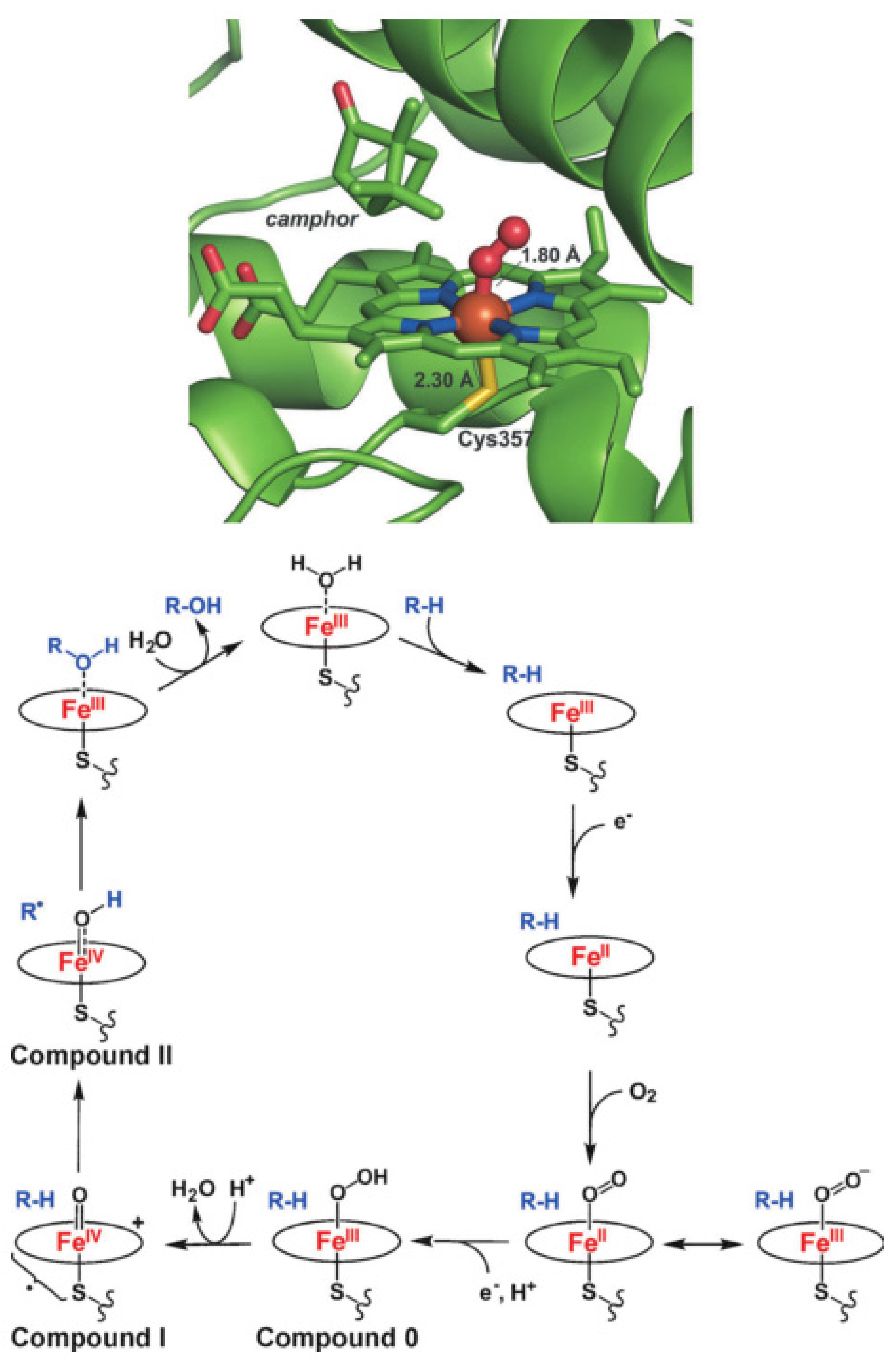 Molecules 27 04690 g001