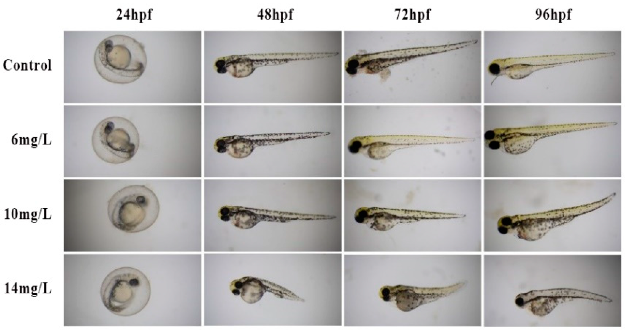 Molecules 27 04692 g004