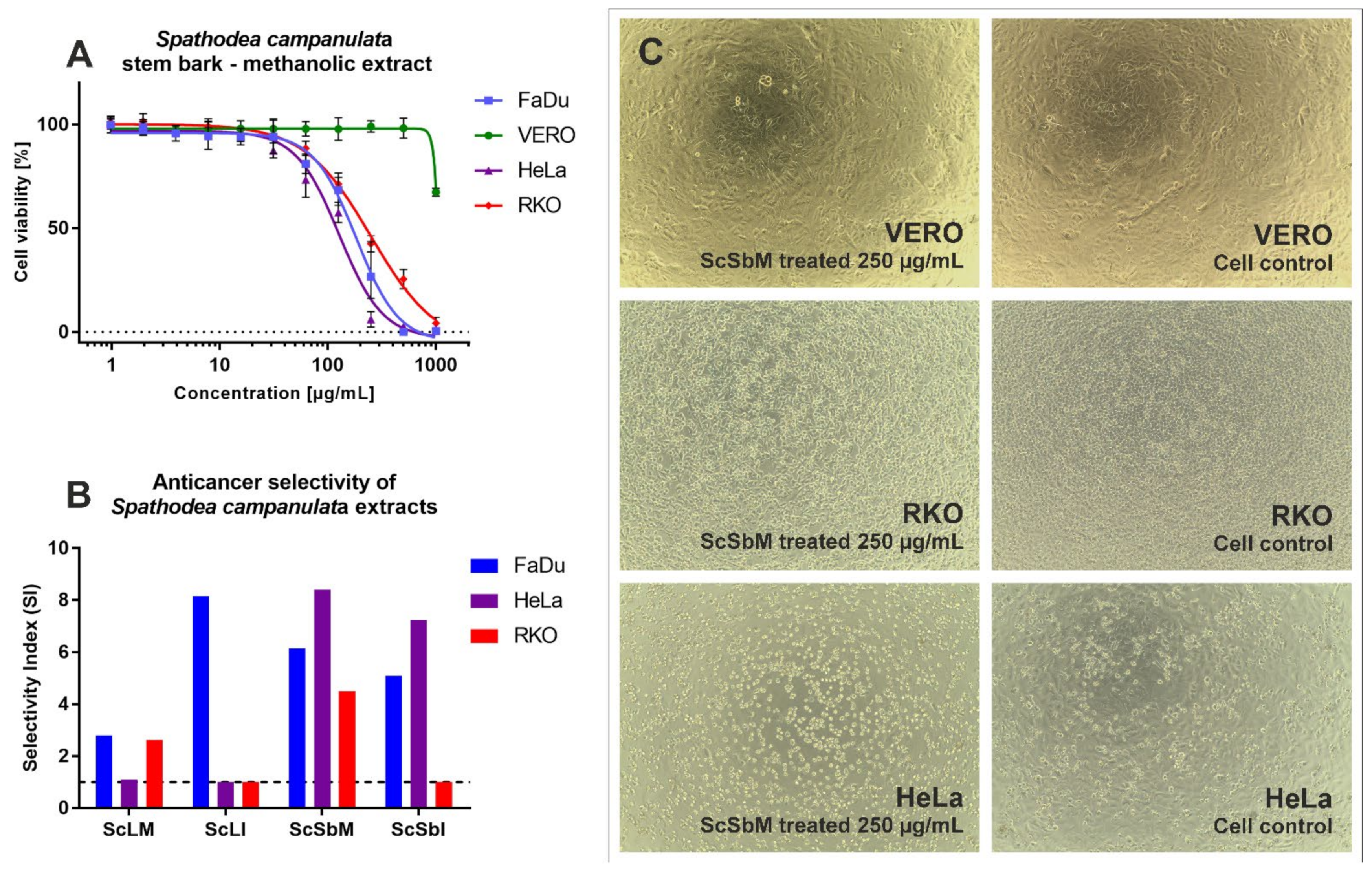 Molecules 27 04694 g003