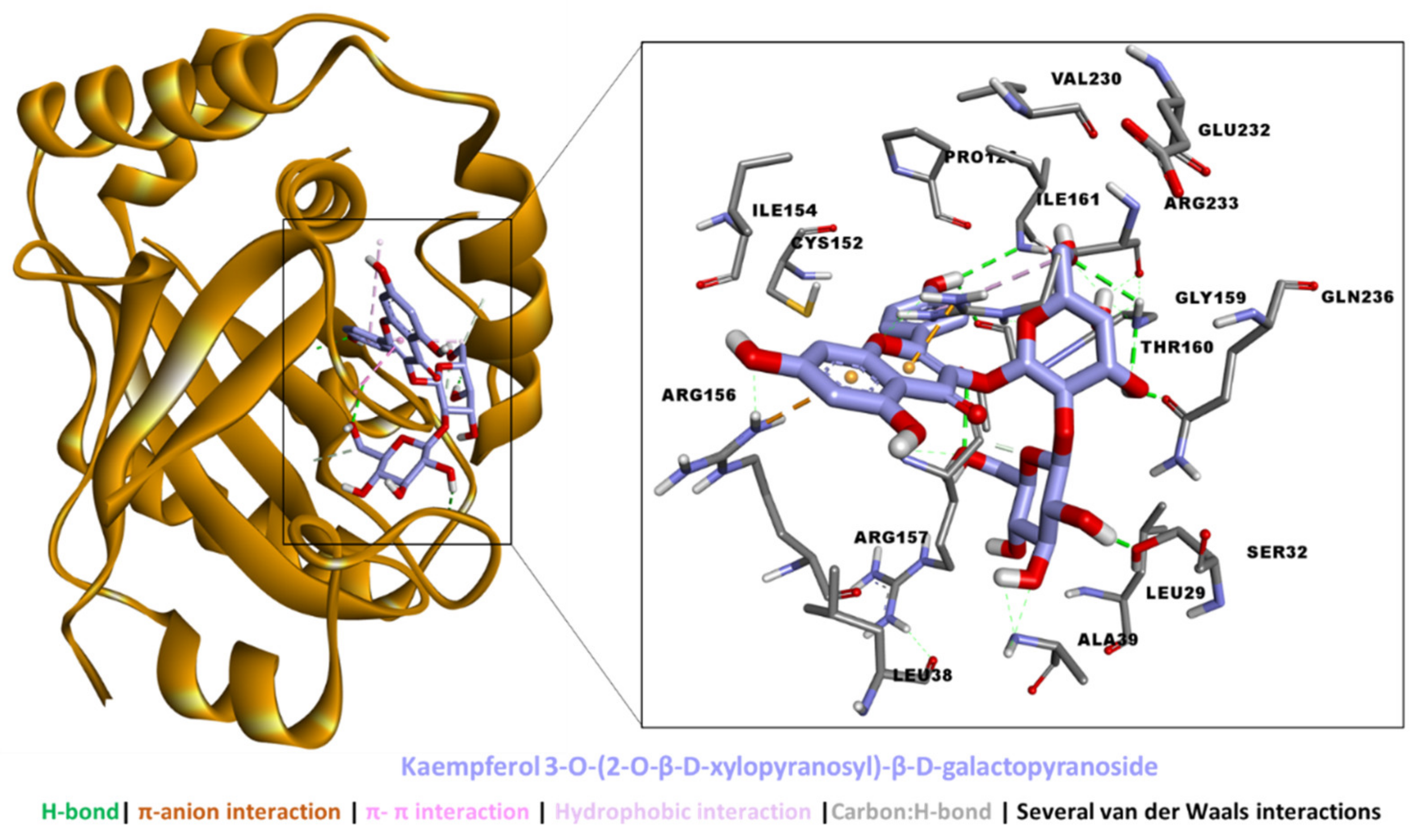Molecules 27 04694 g008