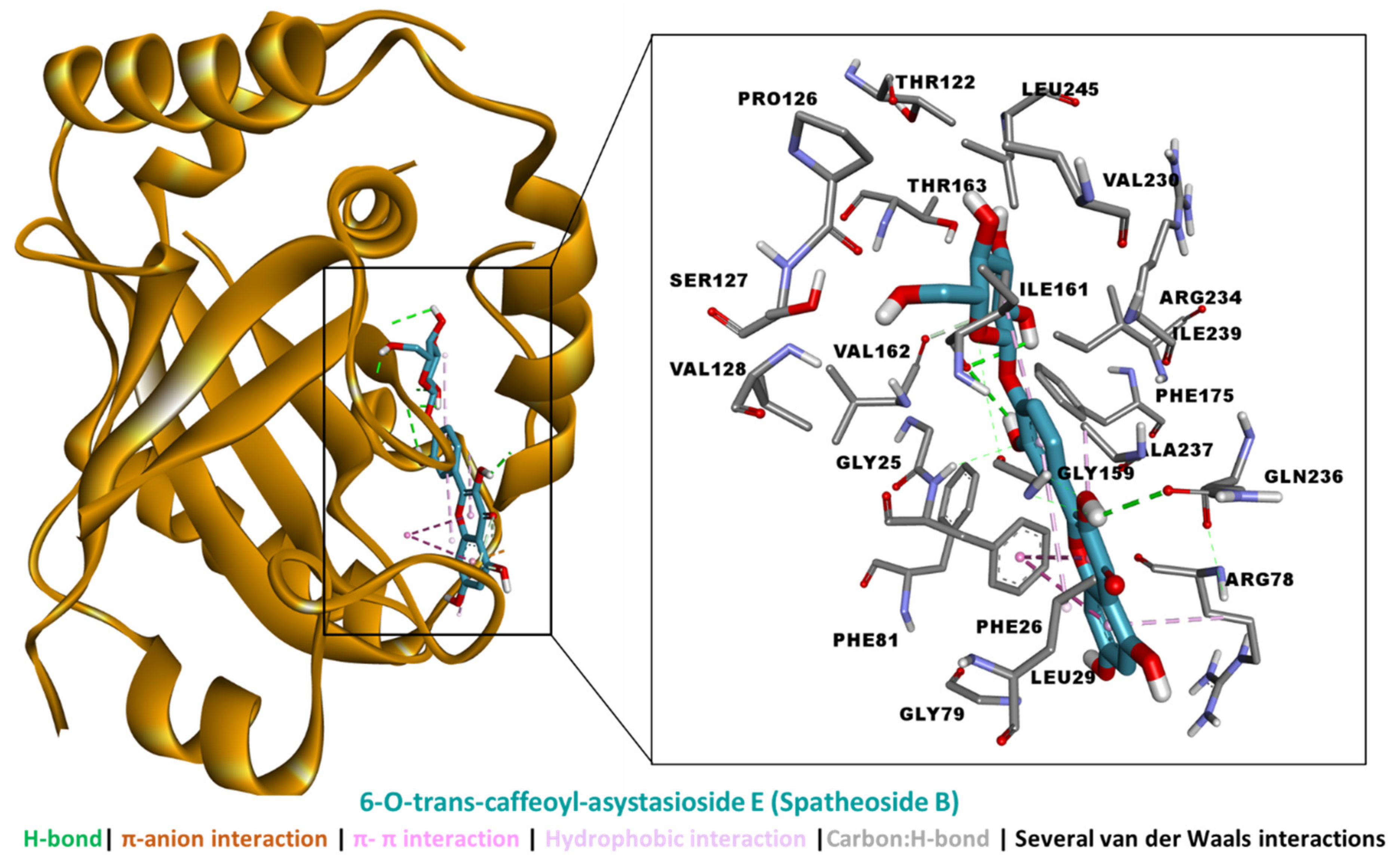 Molecules 27 04694 g009