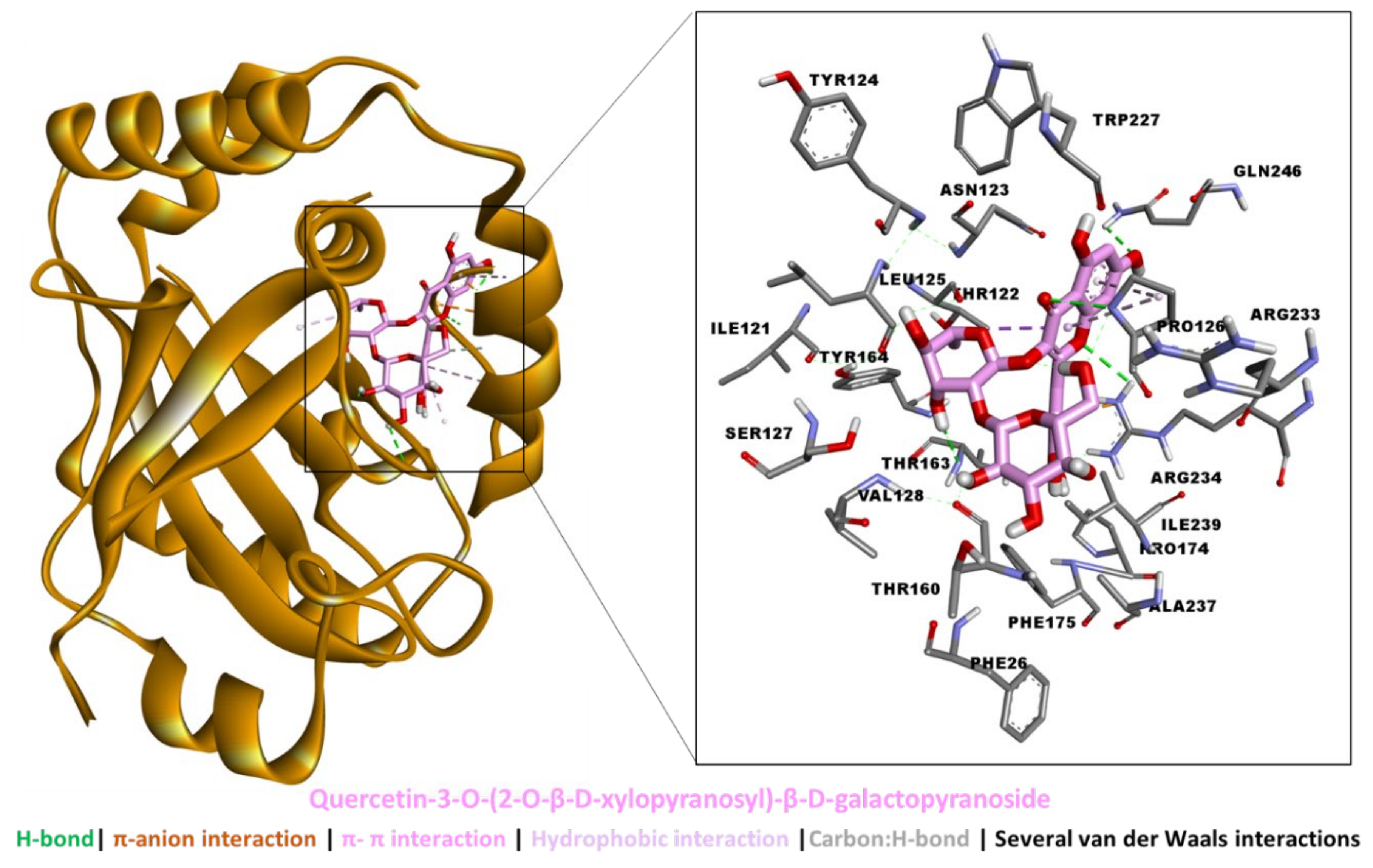 Molecules 27 04694 g010