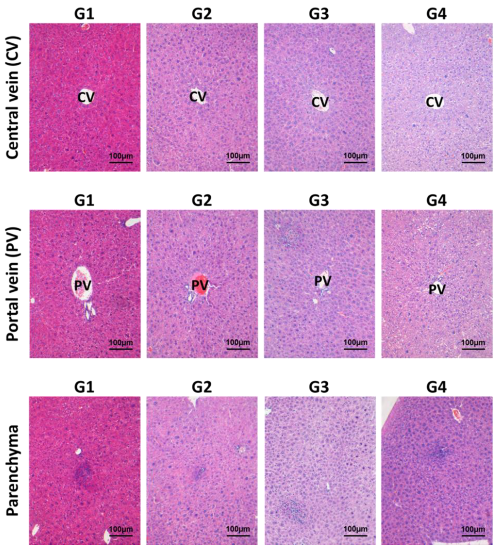 Molecules 27 04704 g002