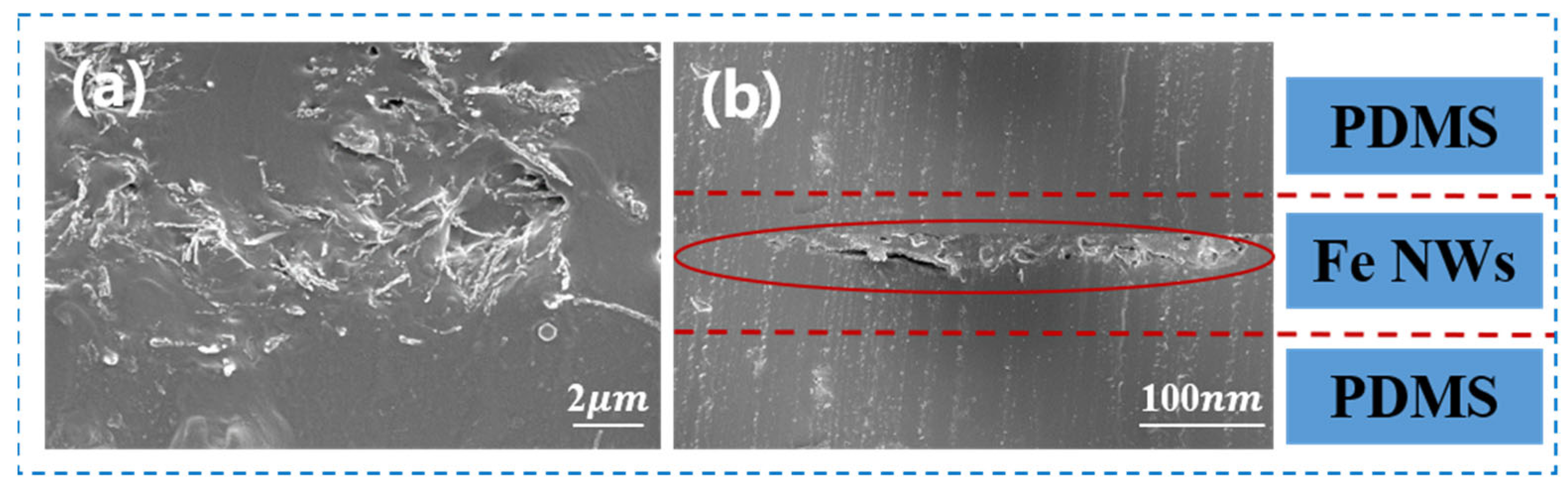 Molecules 27 04717 g003