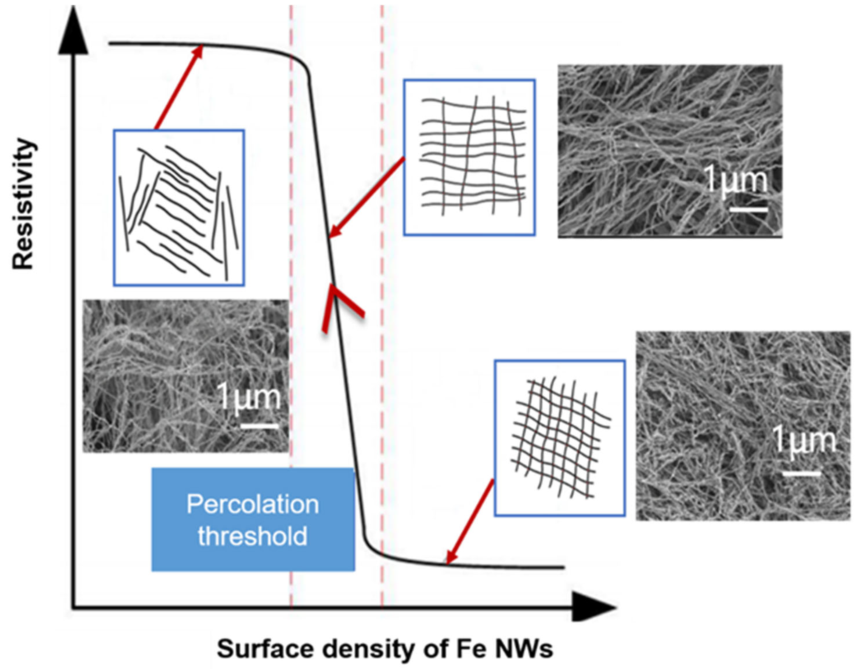 Molecules 27 04717 g008