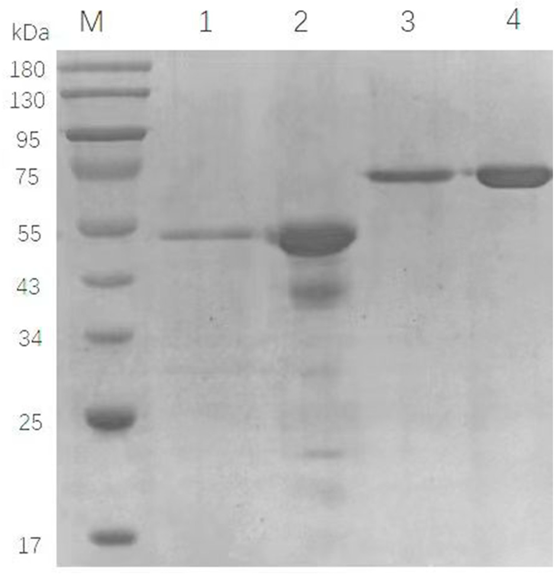 Molecules 27 04720 g001