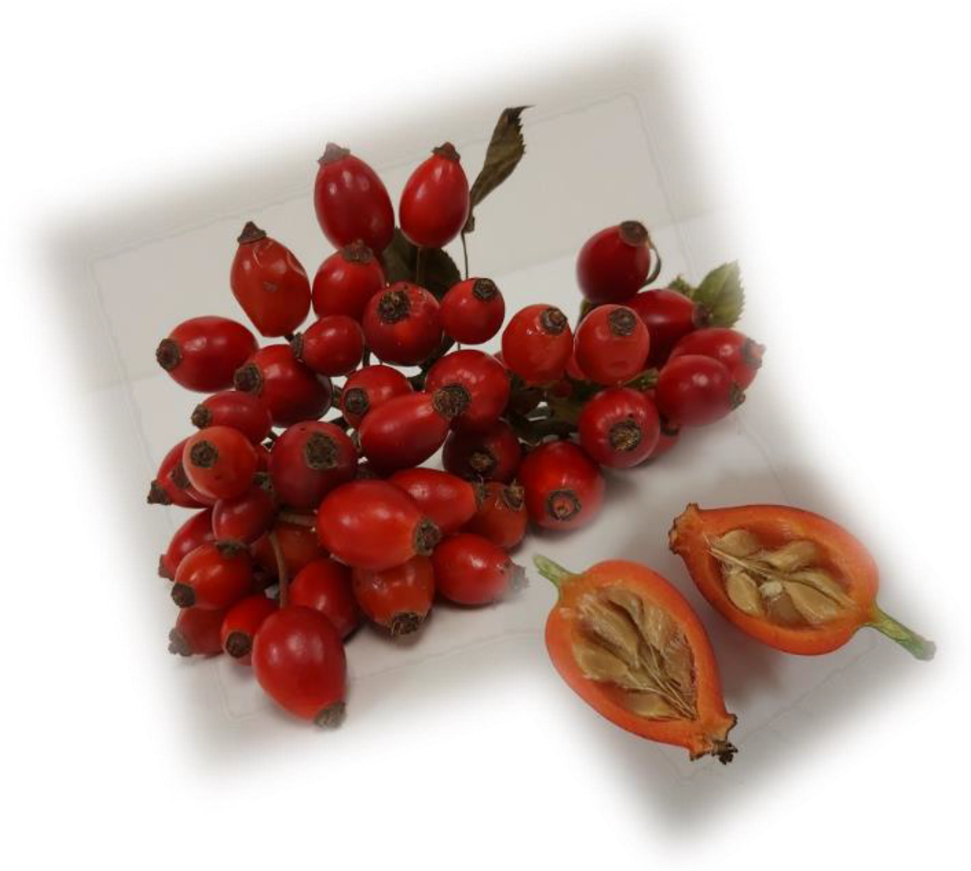 Molecules 27 04737 g001