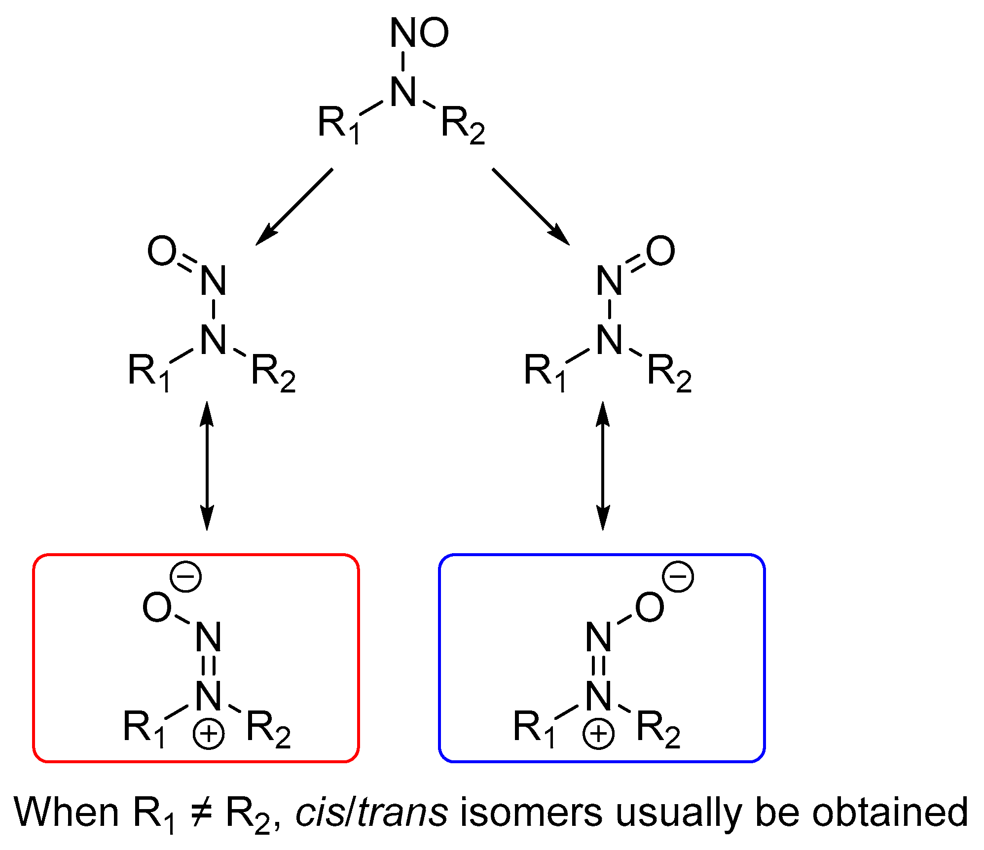 Molecules 27 04749 g002 Molecules 27 04749 g002