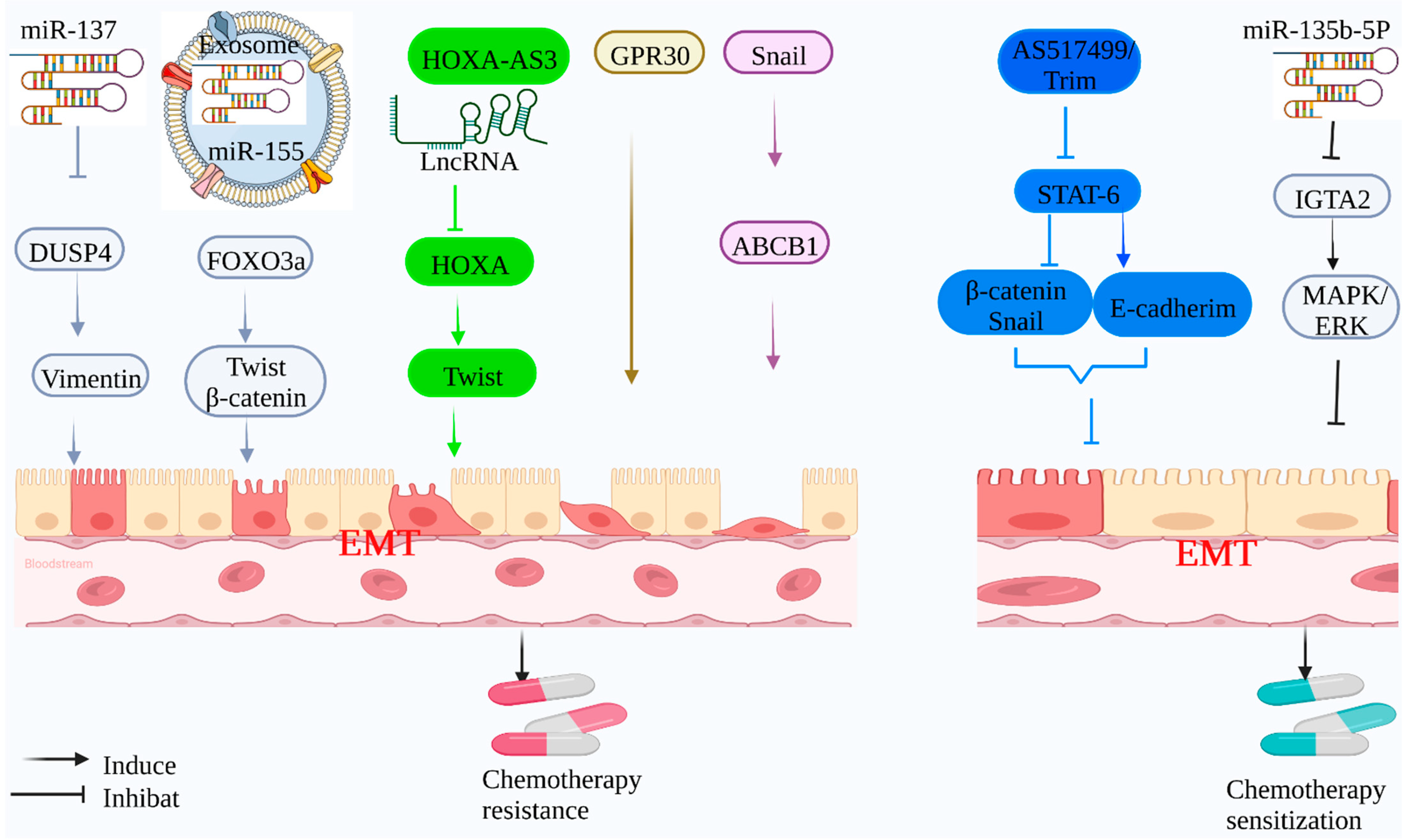 Molecules 27 04750 g001