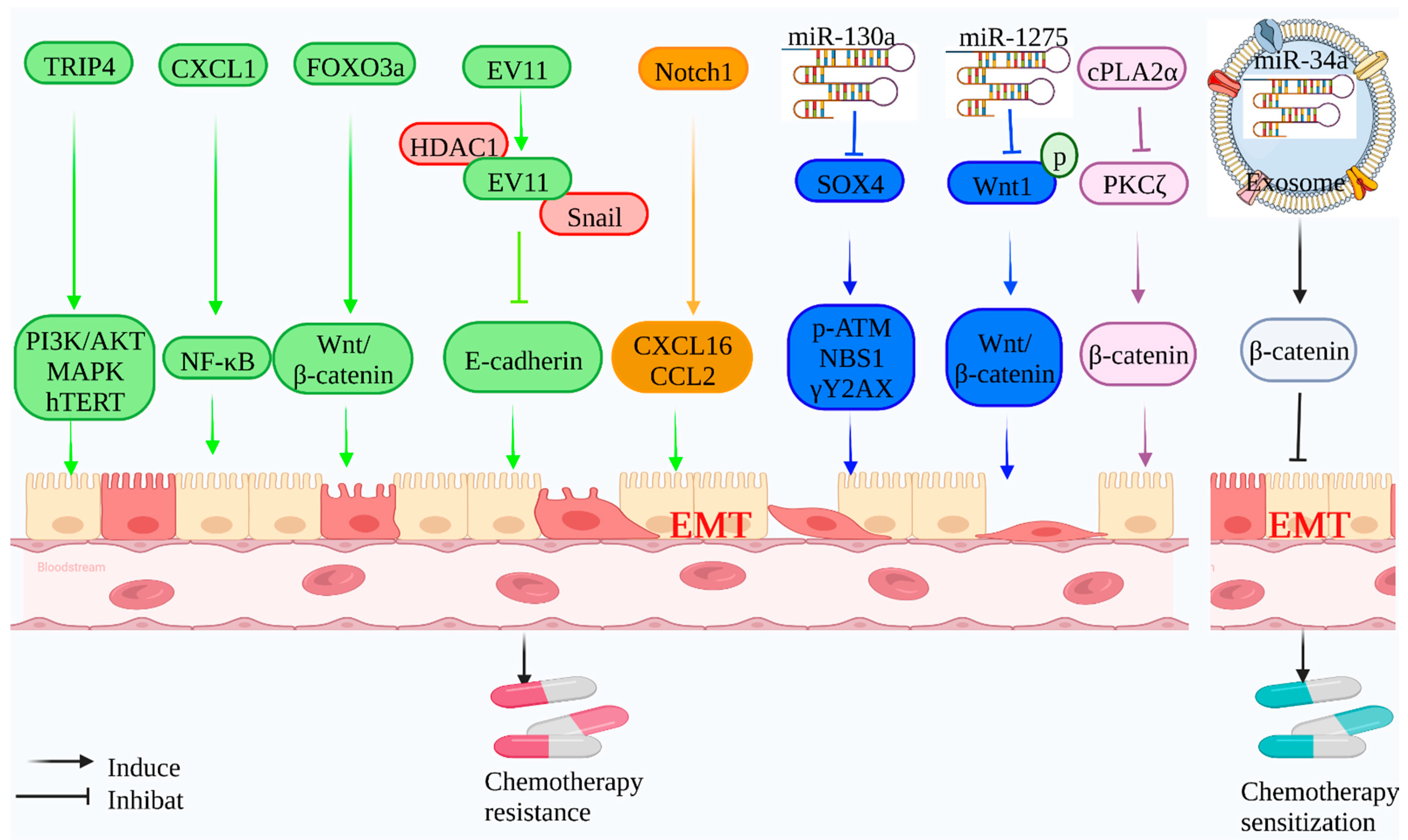 Molecules 27 04750 g002