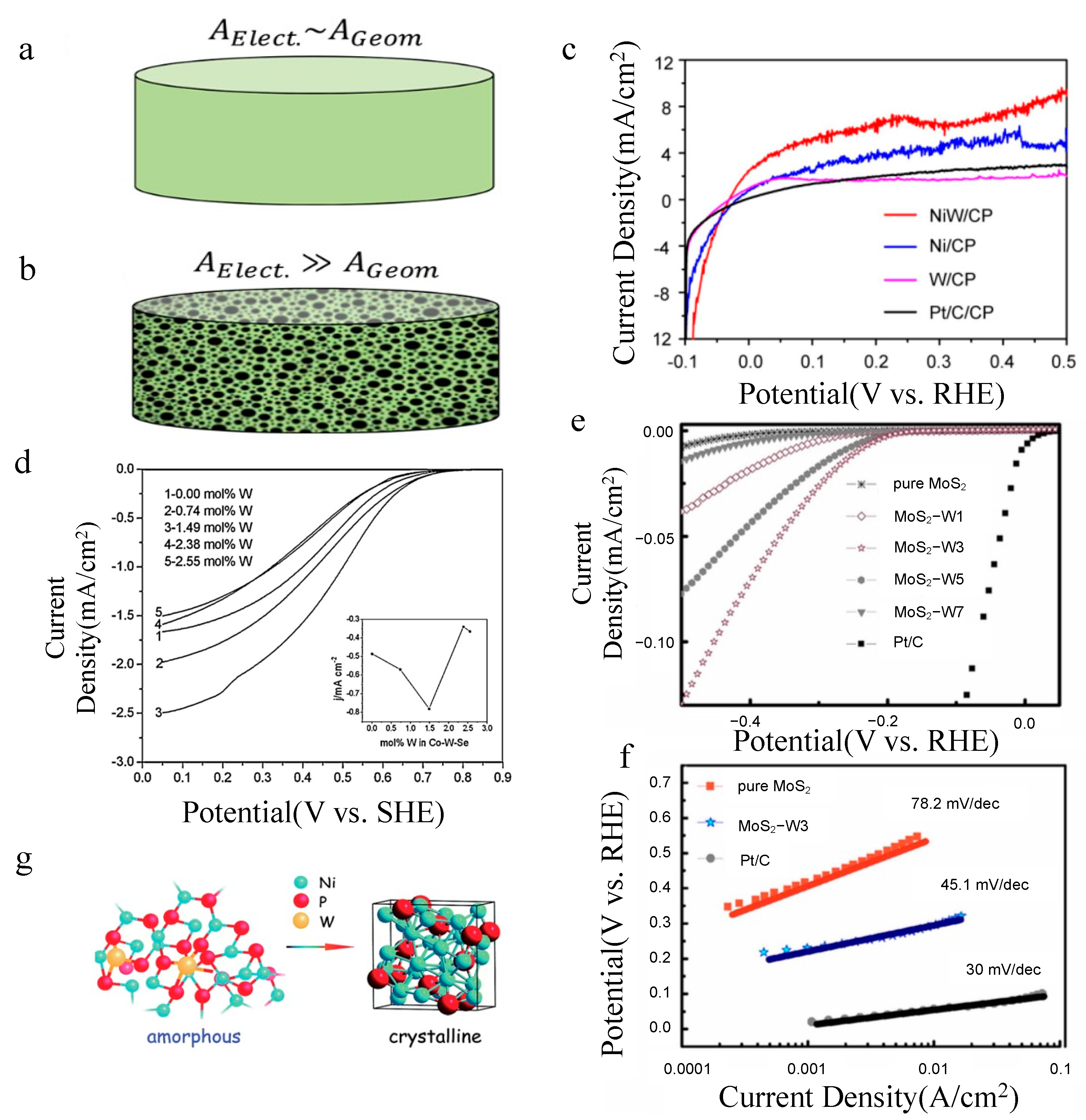 Molecules 27 04751 g006