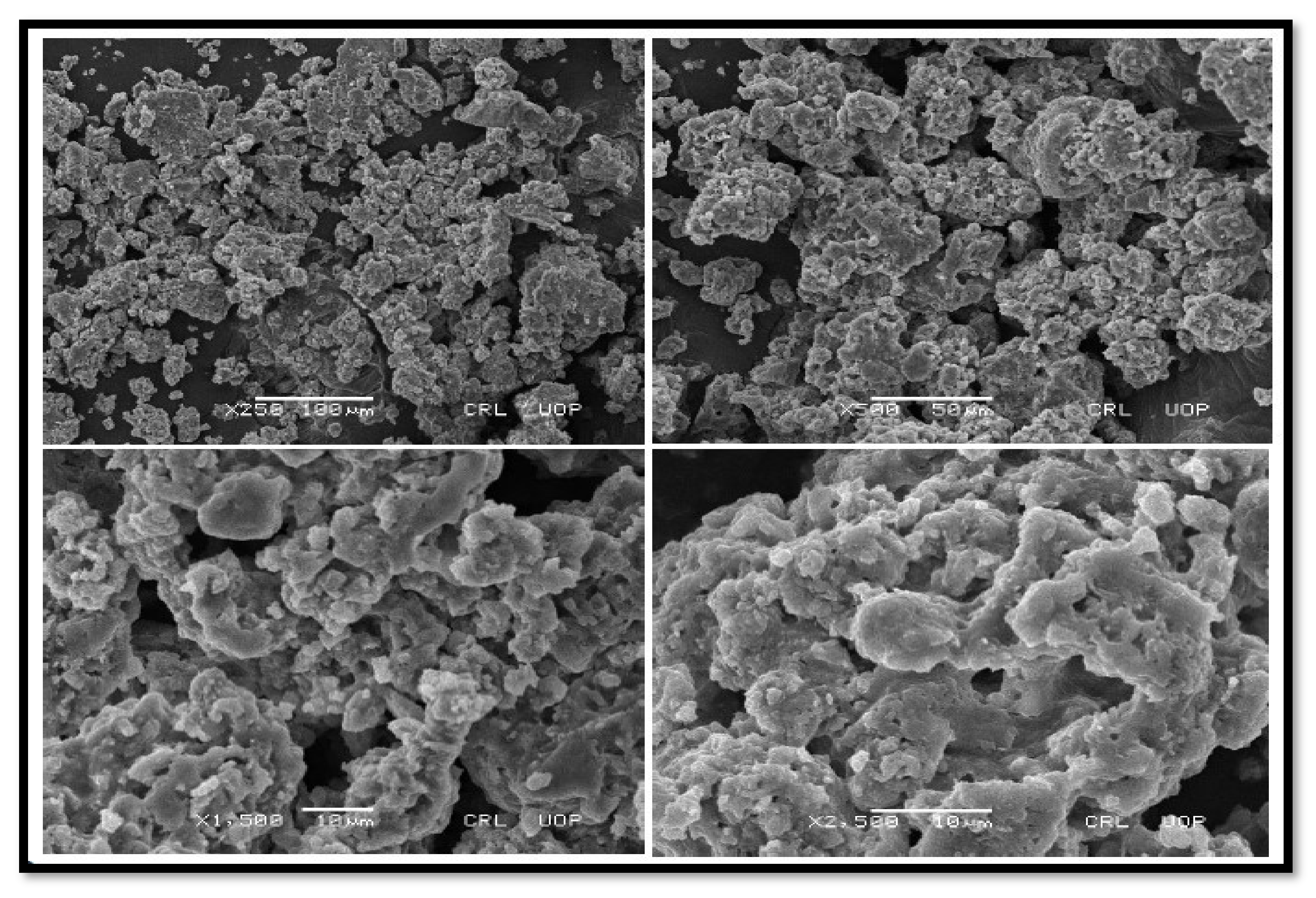 Molecules 27 04752 g007