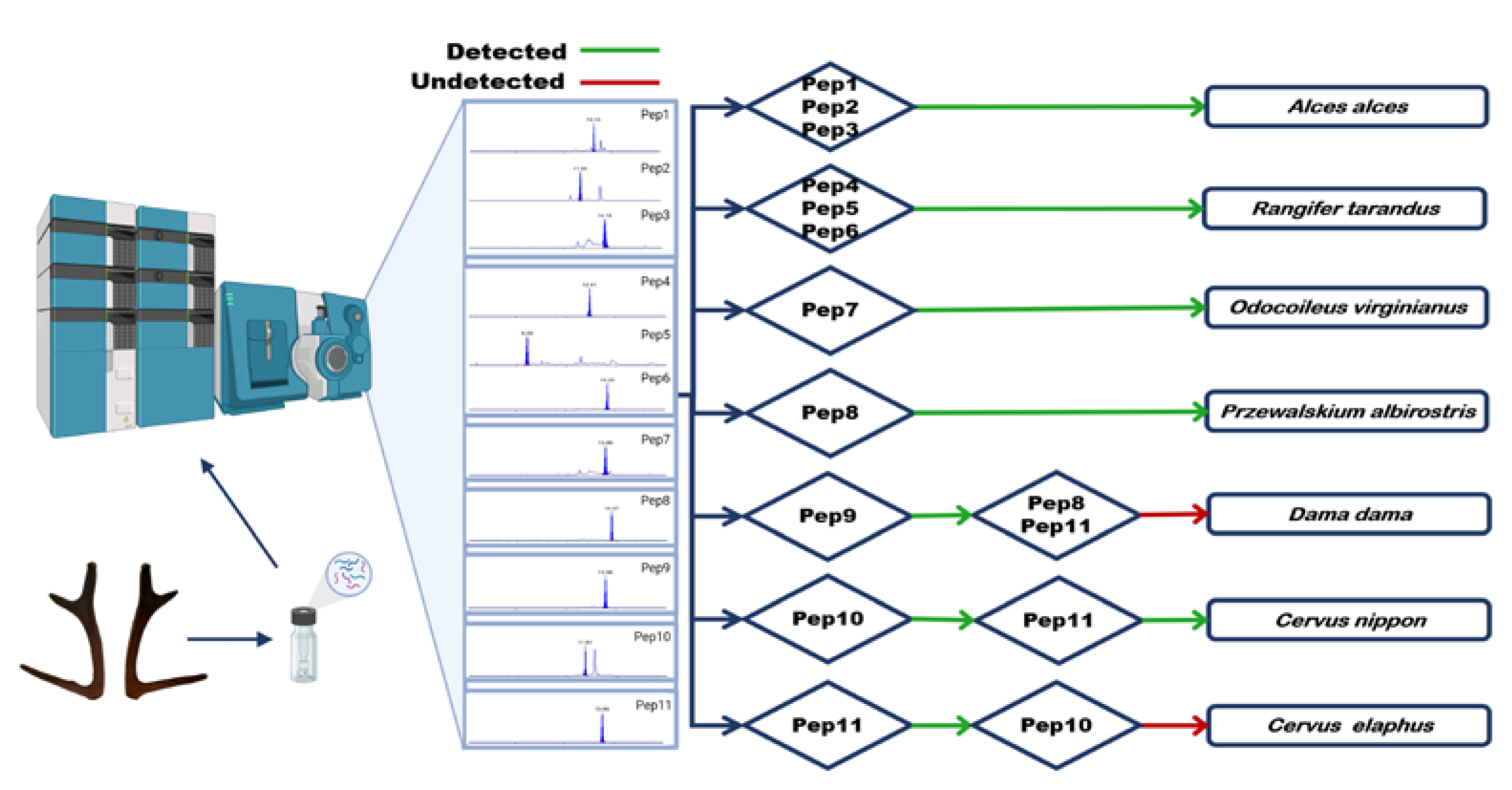 Molecules 27 04756 g004