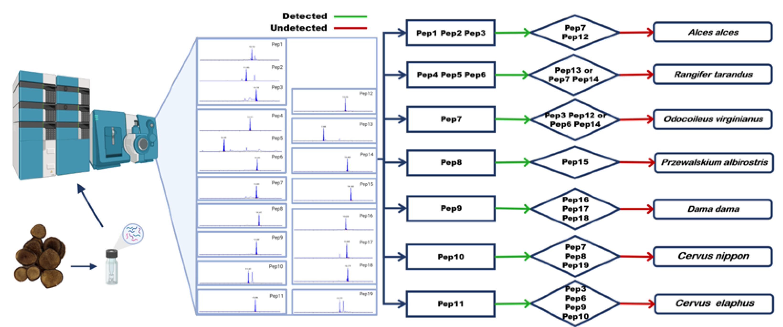 Molecules 27 04756 g005
