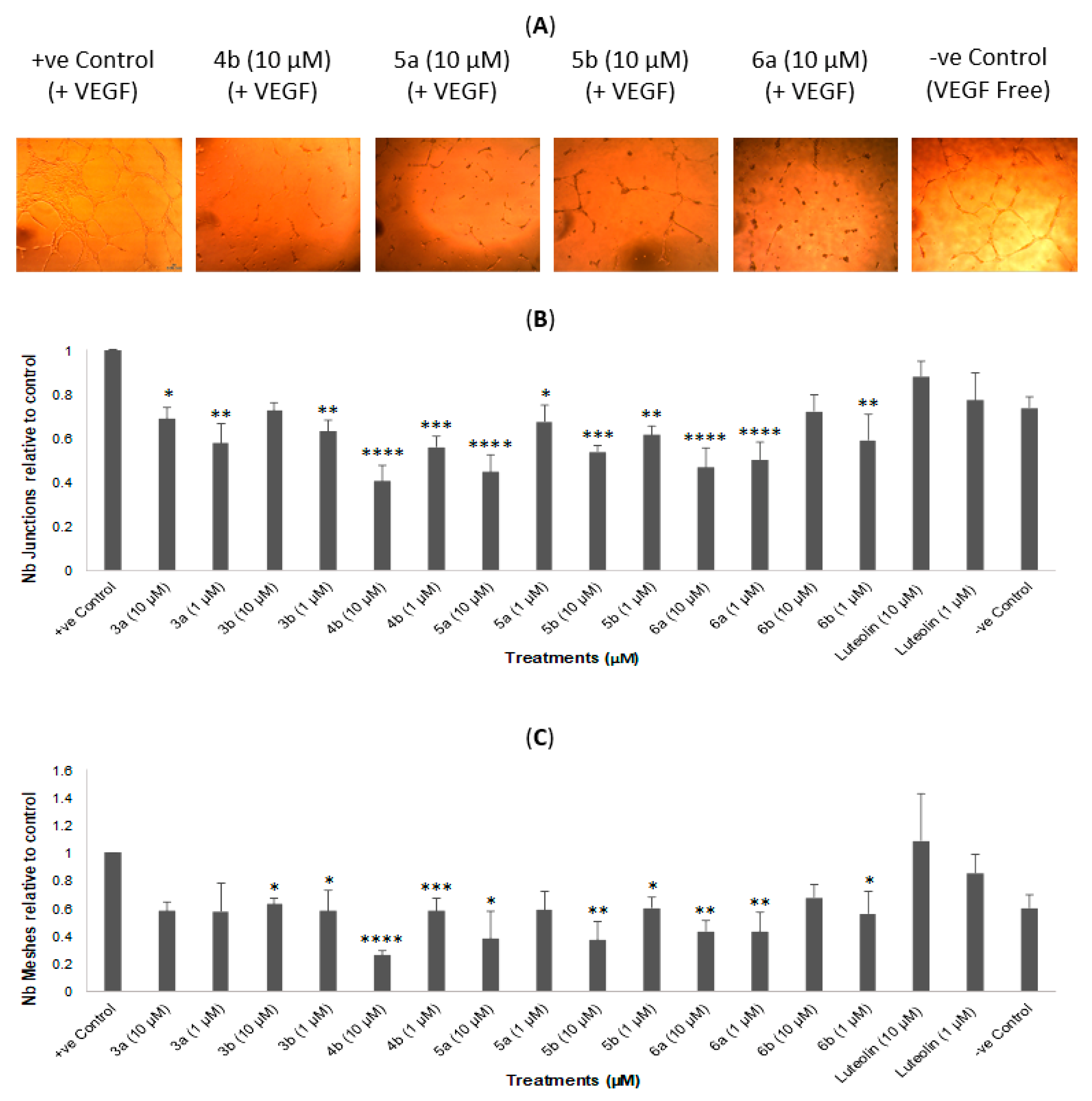 Molecules 27 04757 g002a Molecules 27 04757 g002a