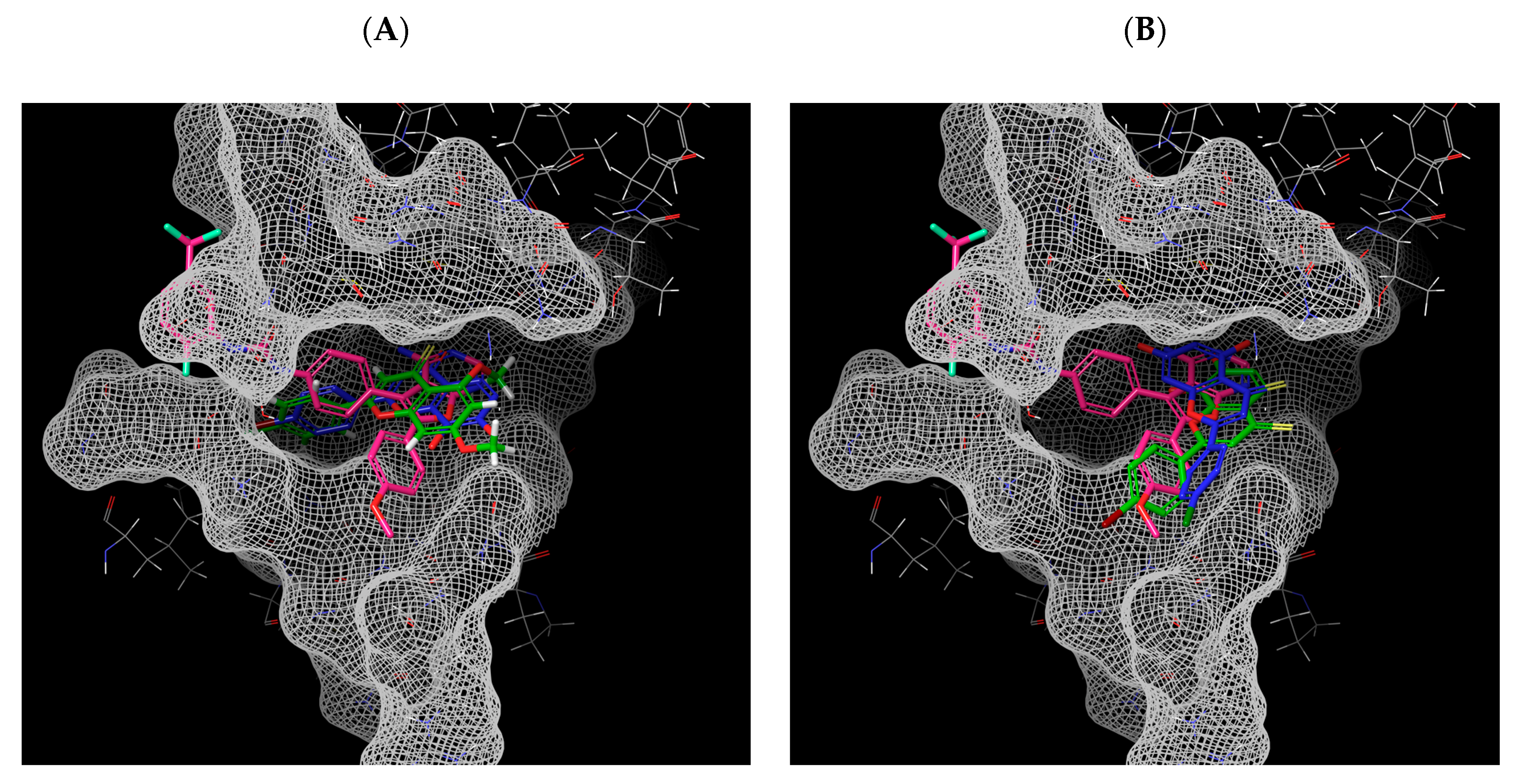Molecules 27 04757 g009 Molecules 27 04757 g009