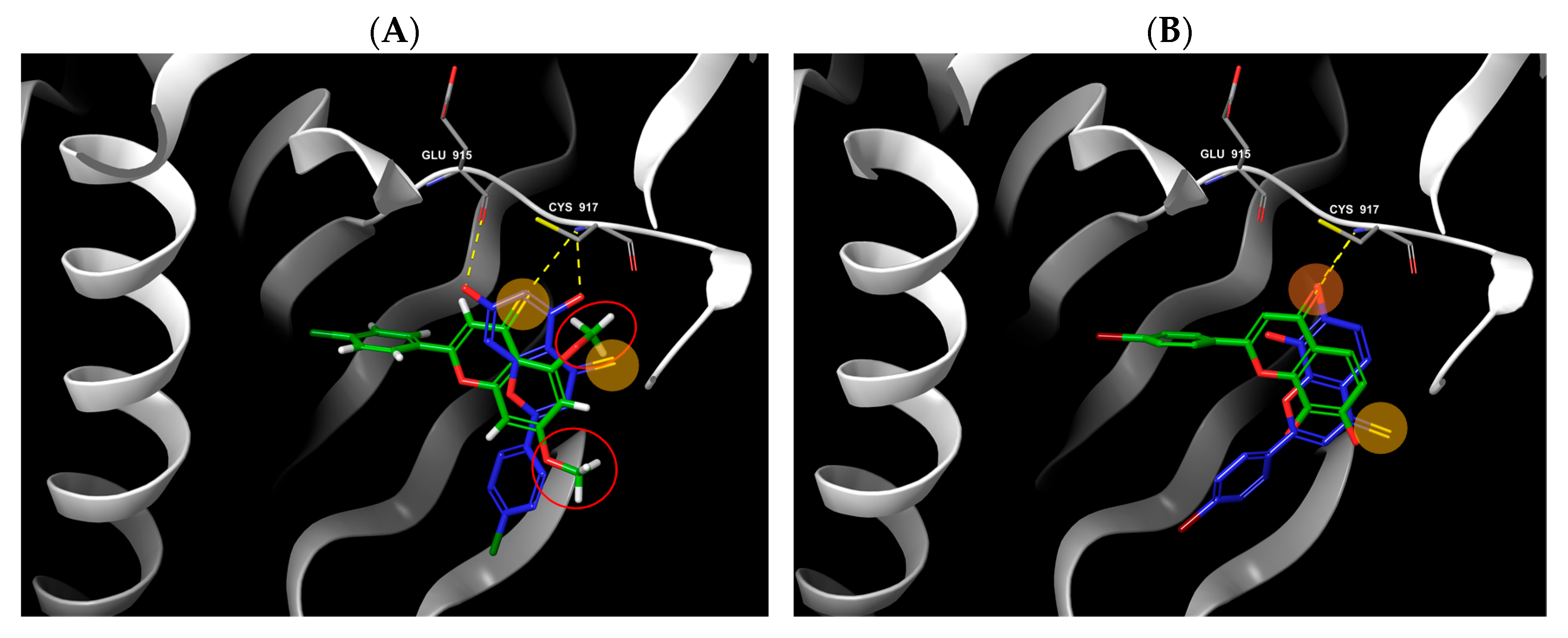 Molecules 27 04757 g010 Molecules 27 04757 g010