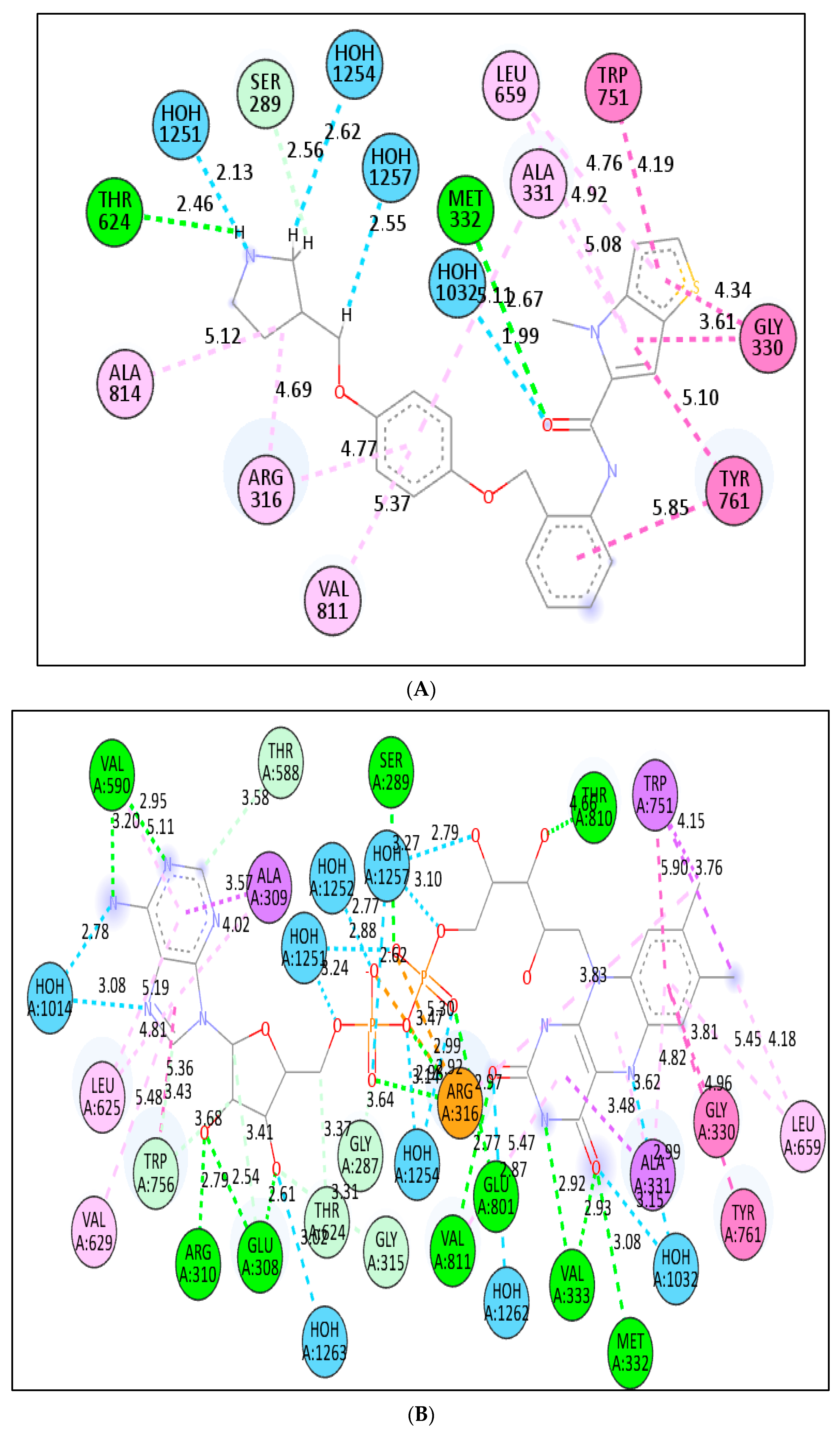 Molecules 27 04758 g010