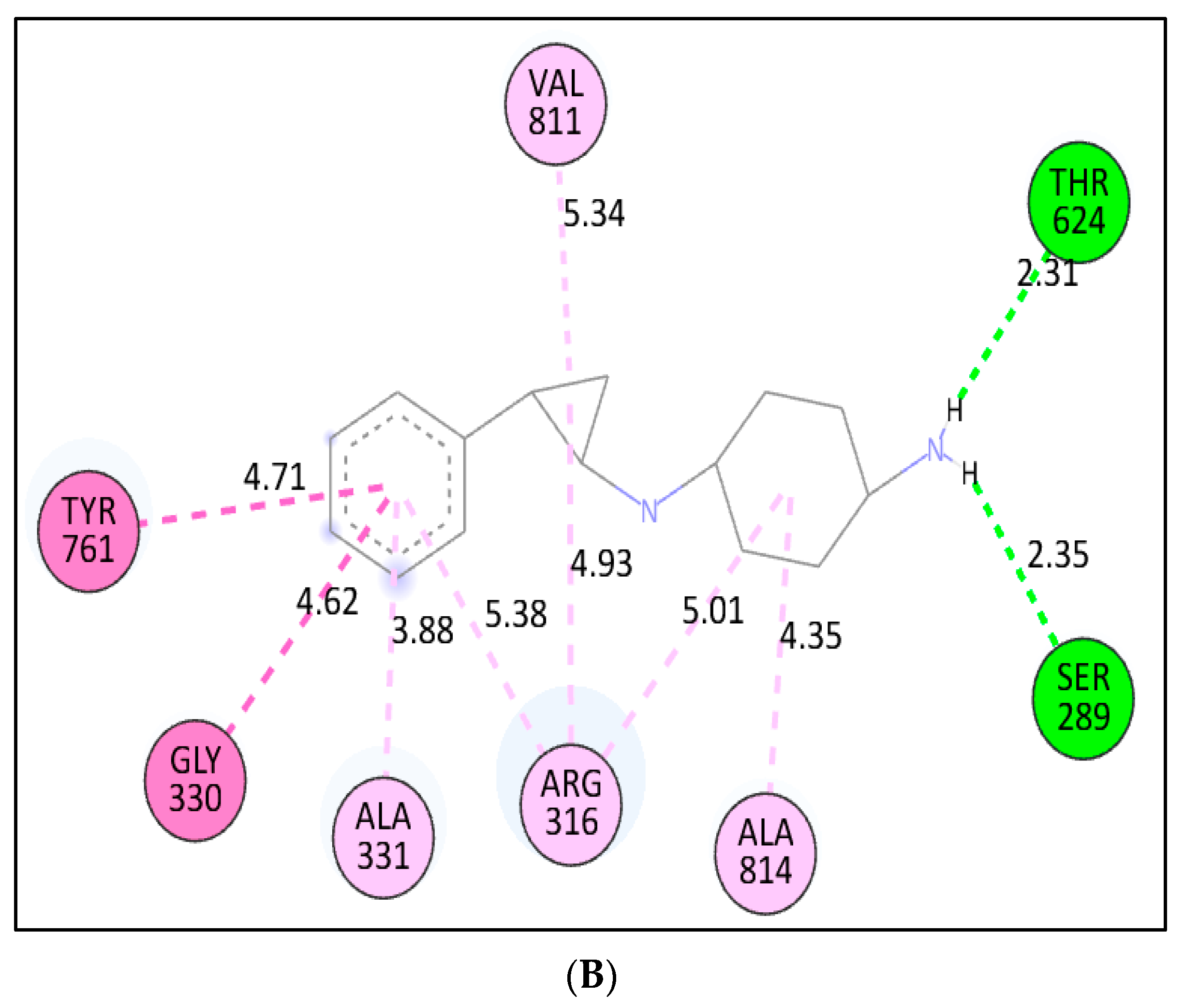 Molecules 27 04758 g011b