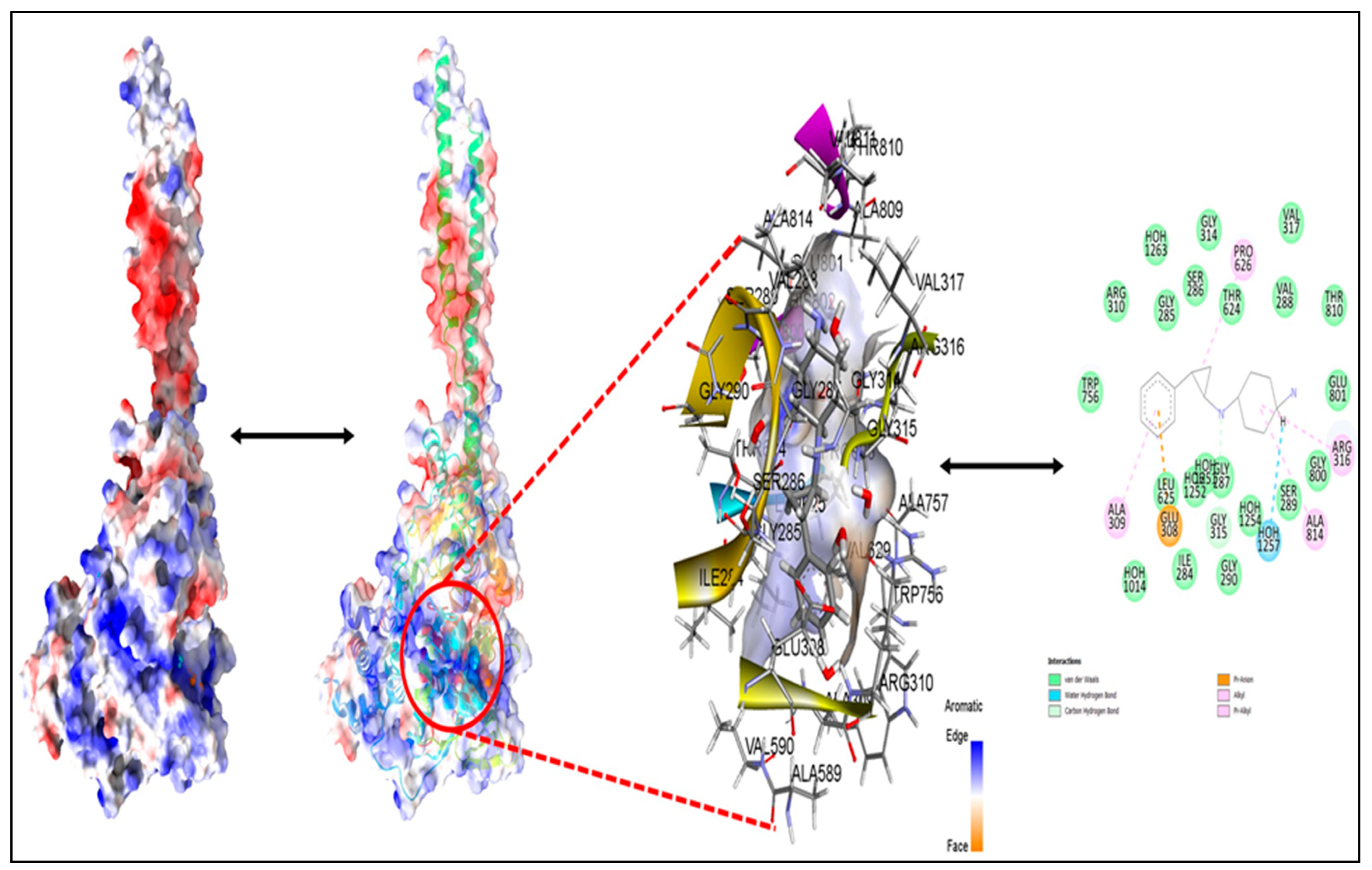 Molecules 27 04758 g014