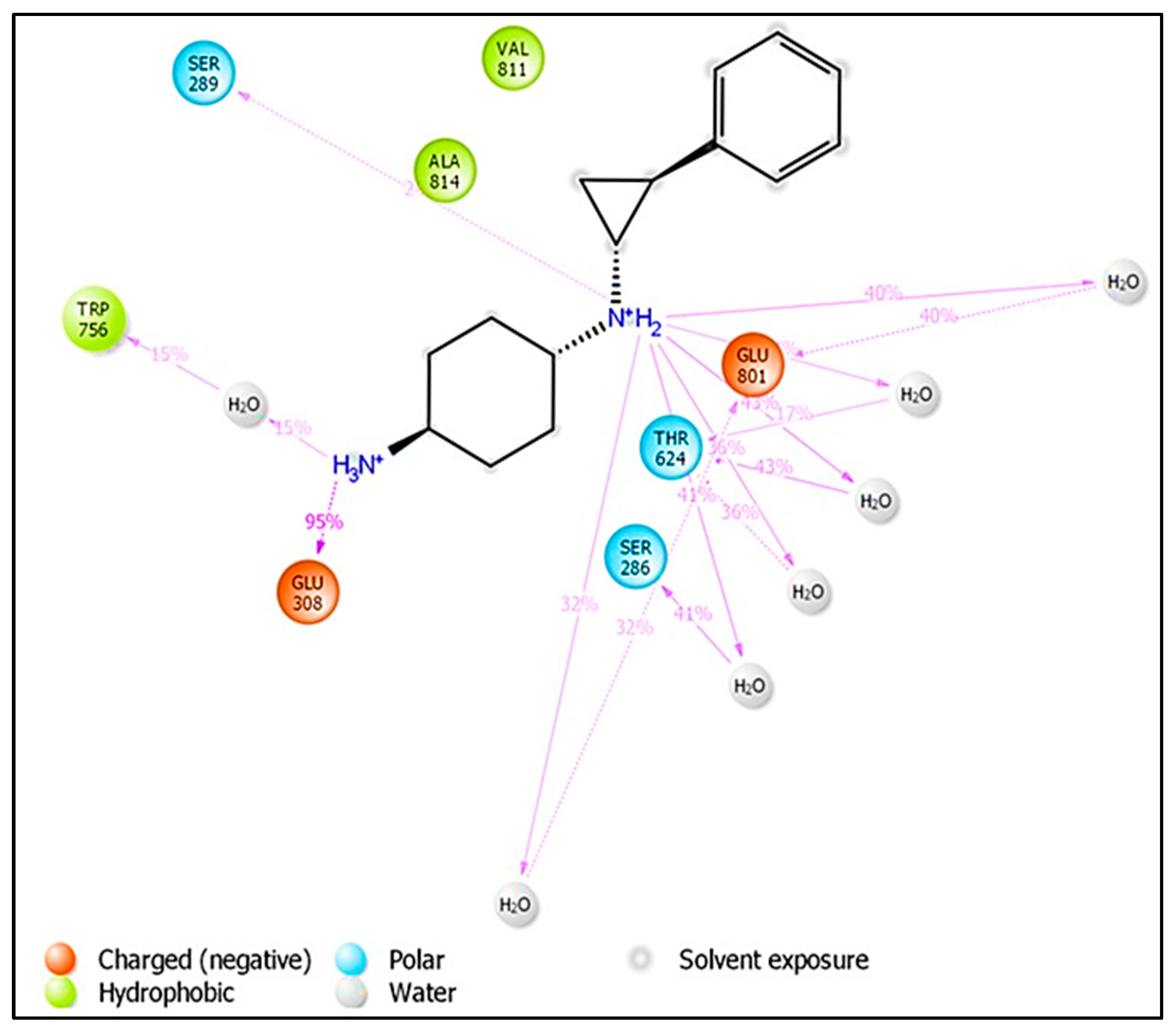 Molecules 27 04758 g020
