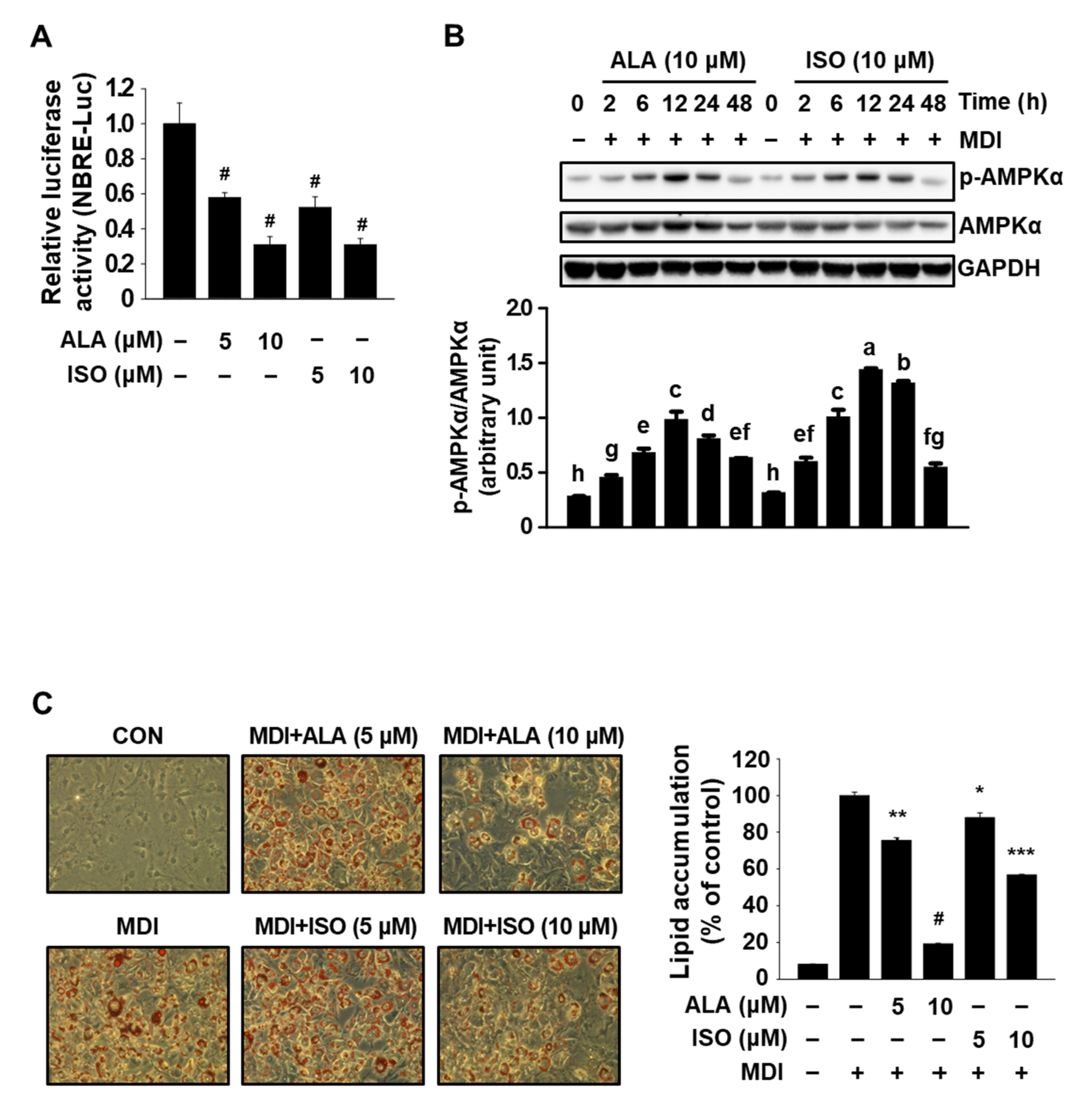 Molecules 27 04765 g001