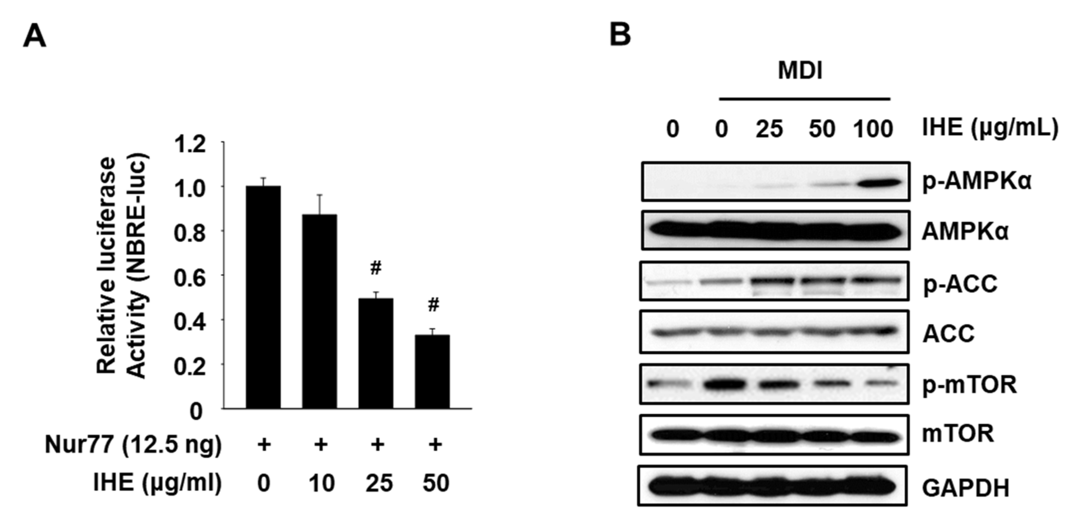 Molecules 27 04765 g003