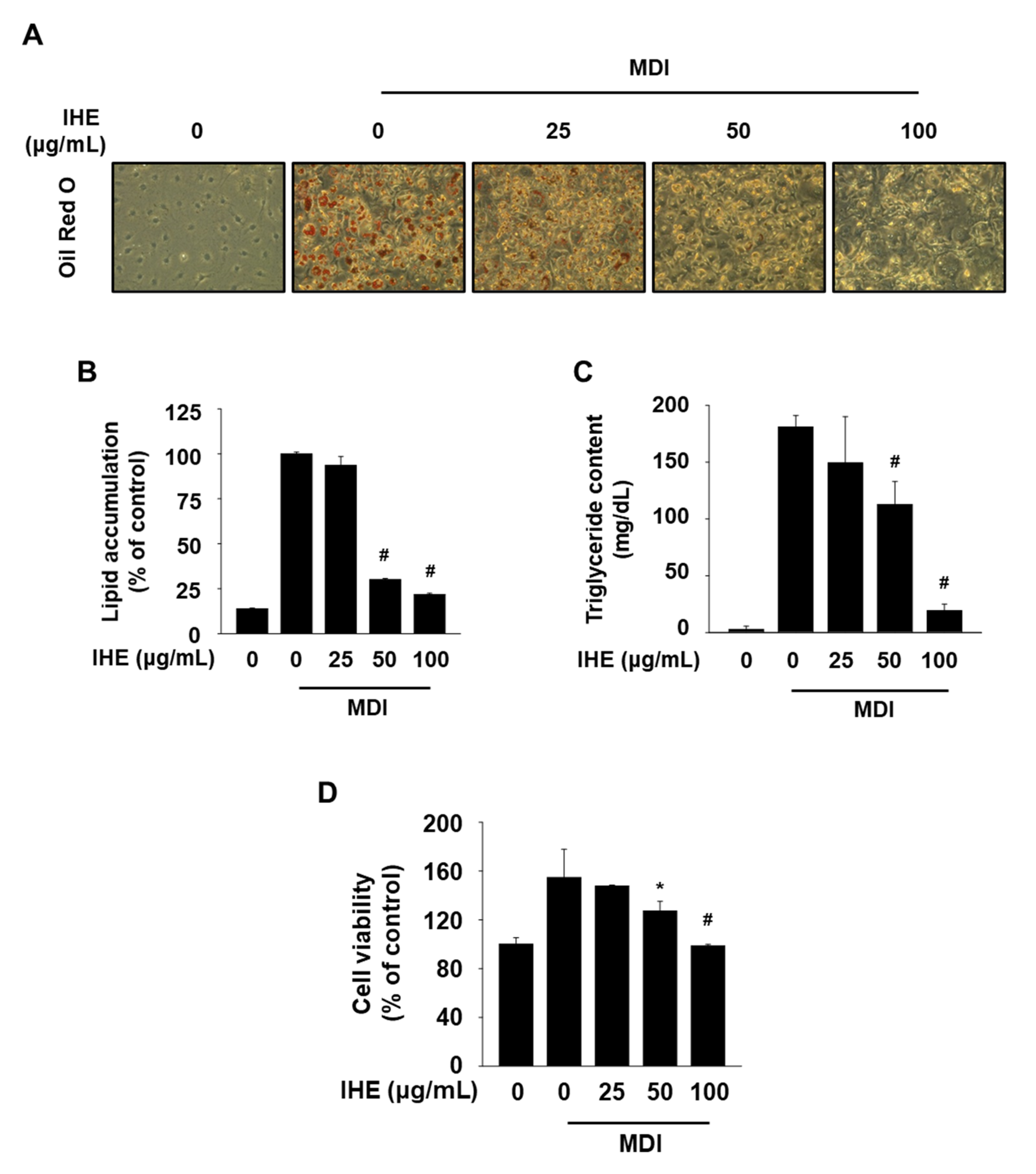 Molecules 27 04765 g004