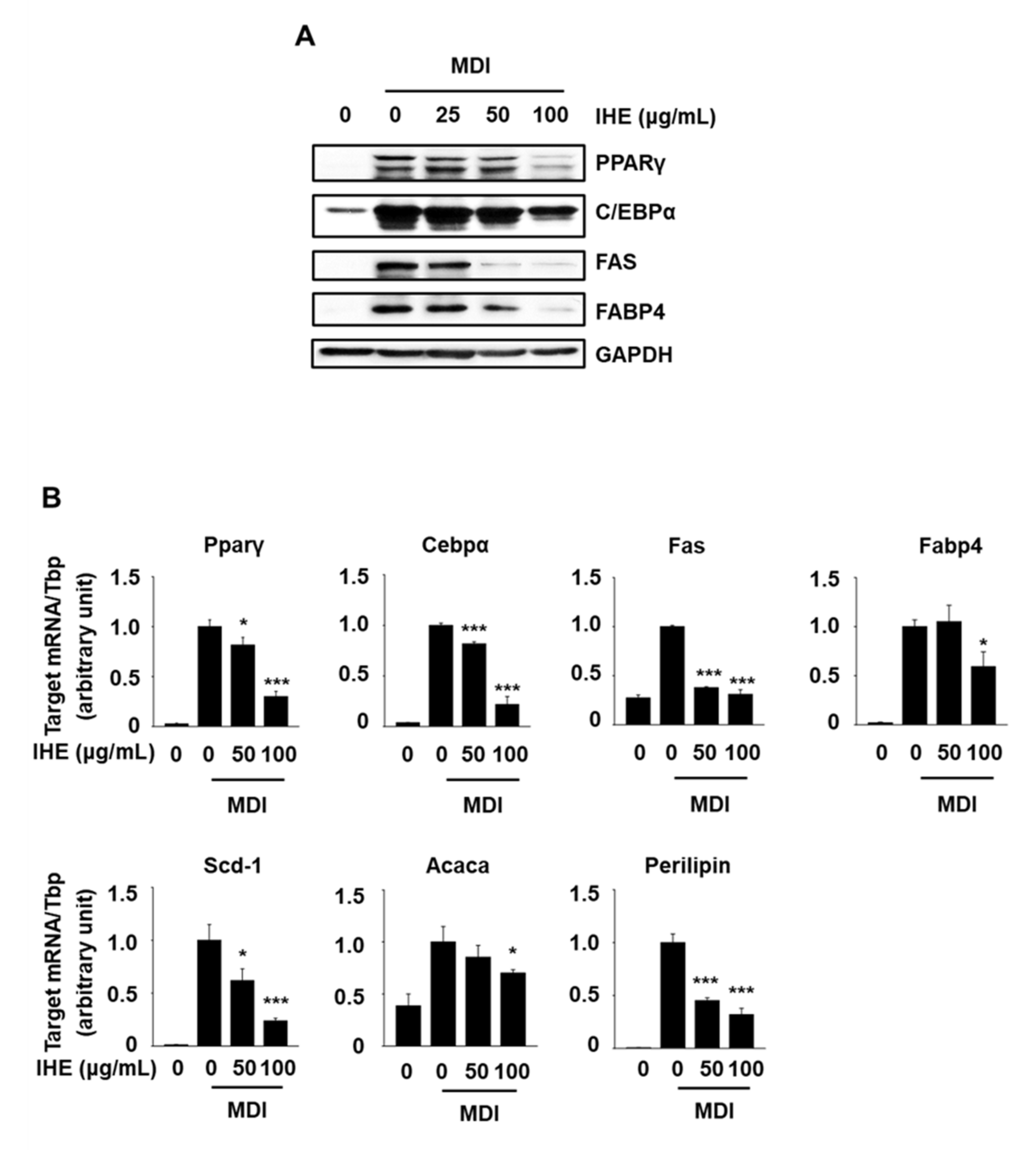 Molecules 27 04765 g005
