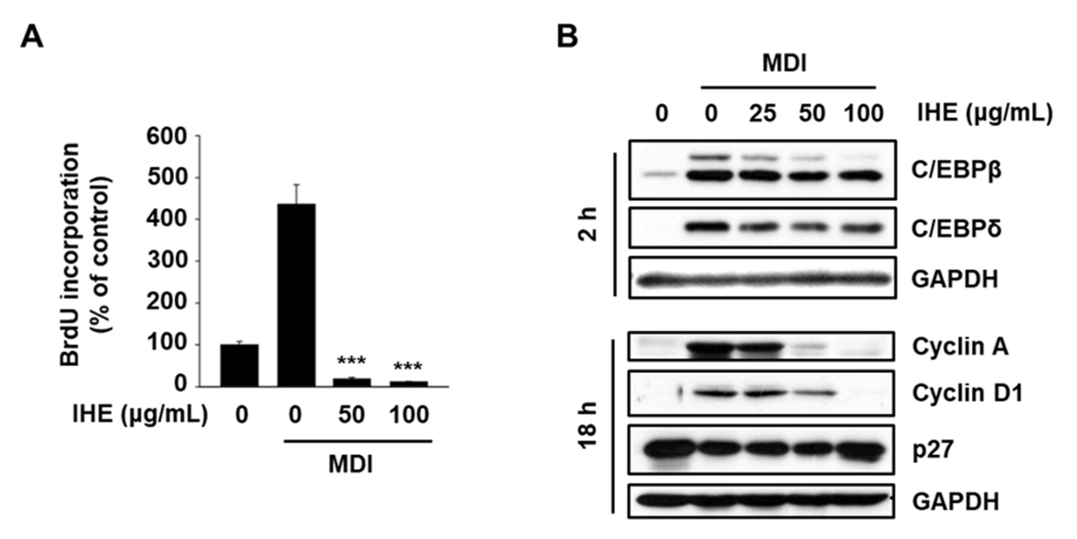 Molecules 27 04765 g006