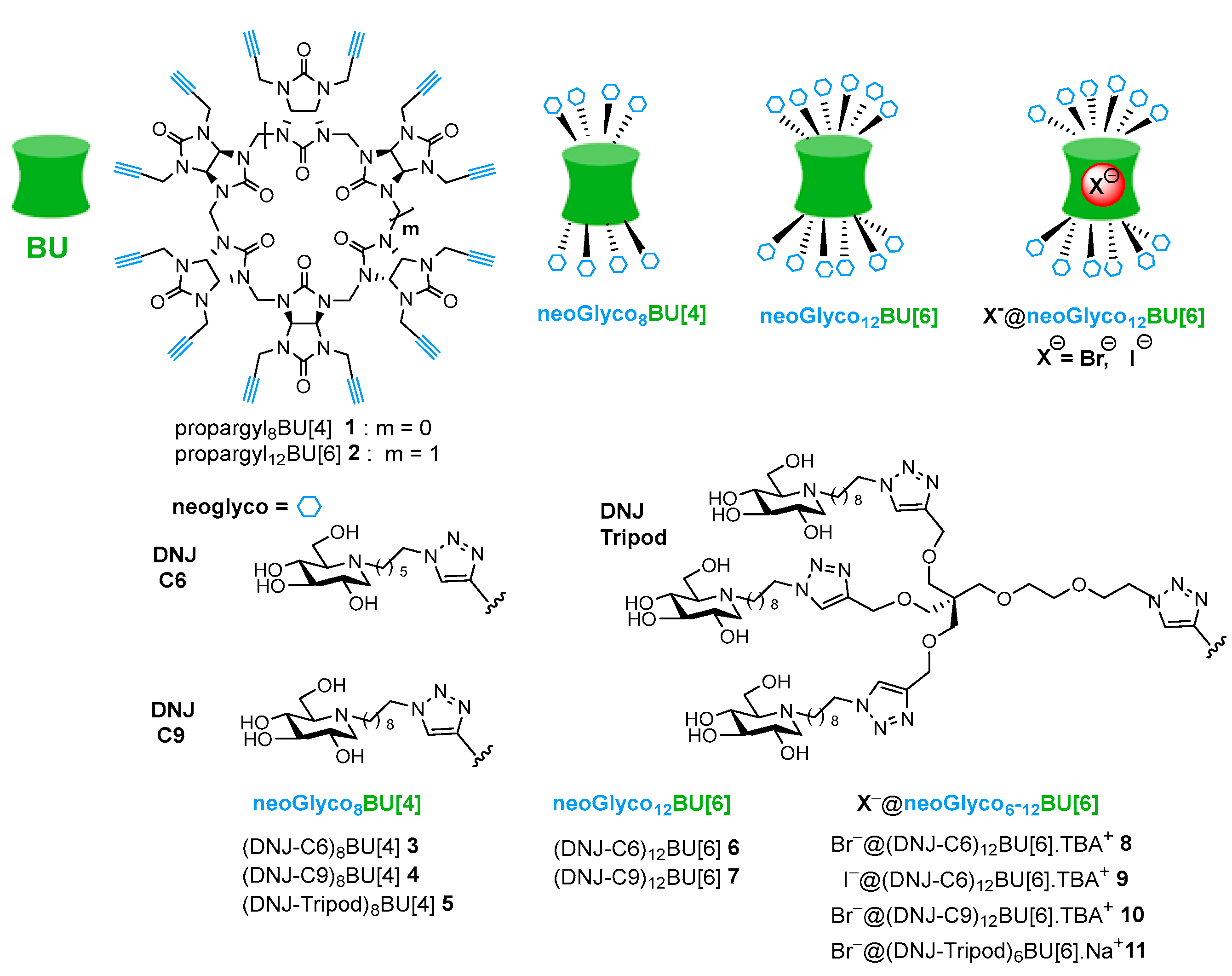 Molecules 27 04772 g001