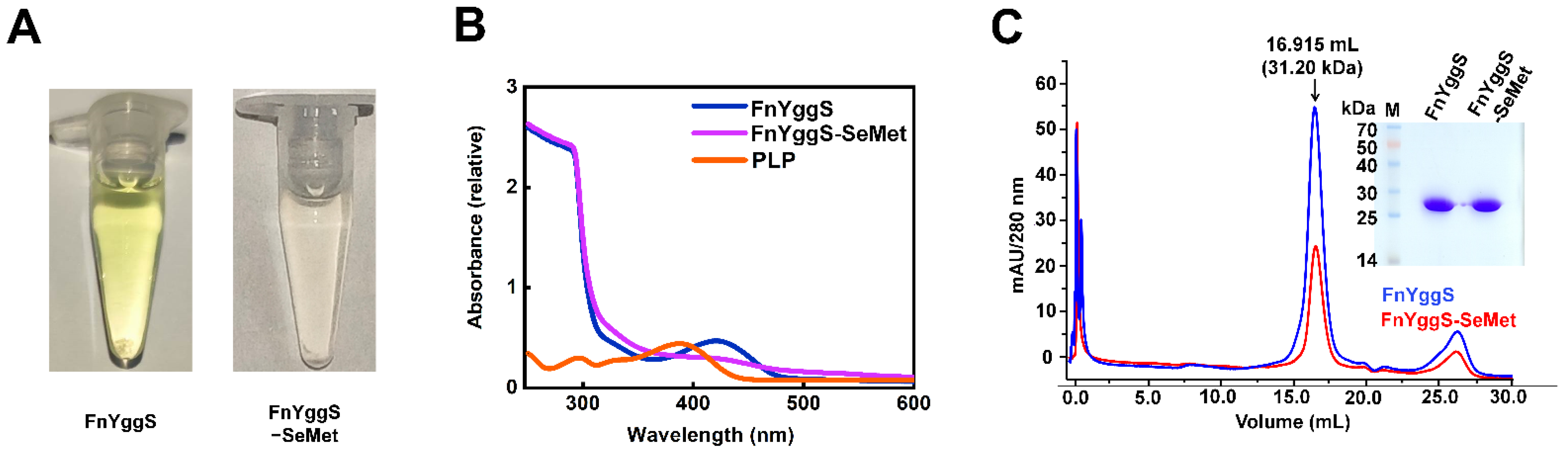 Molecules 27 04781 g001