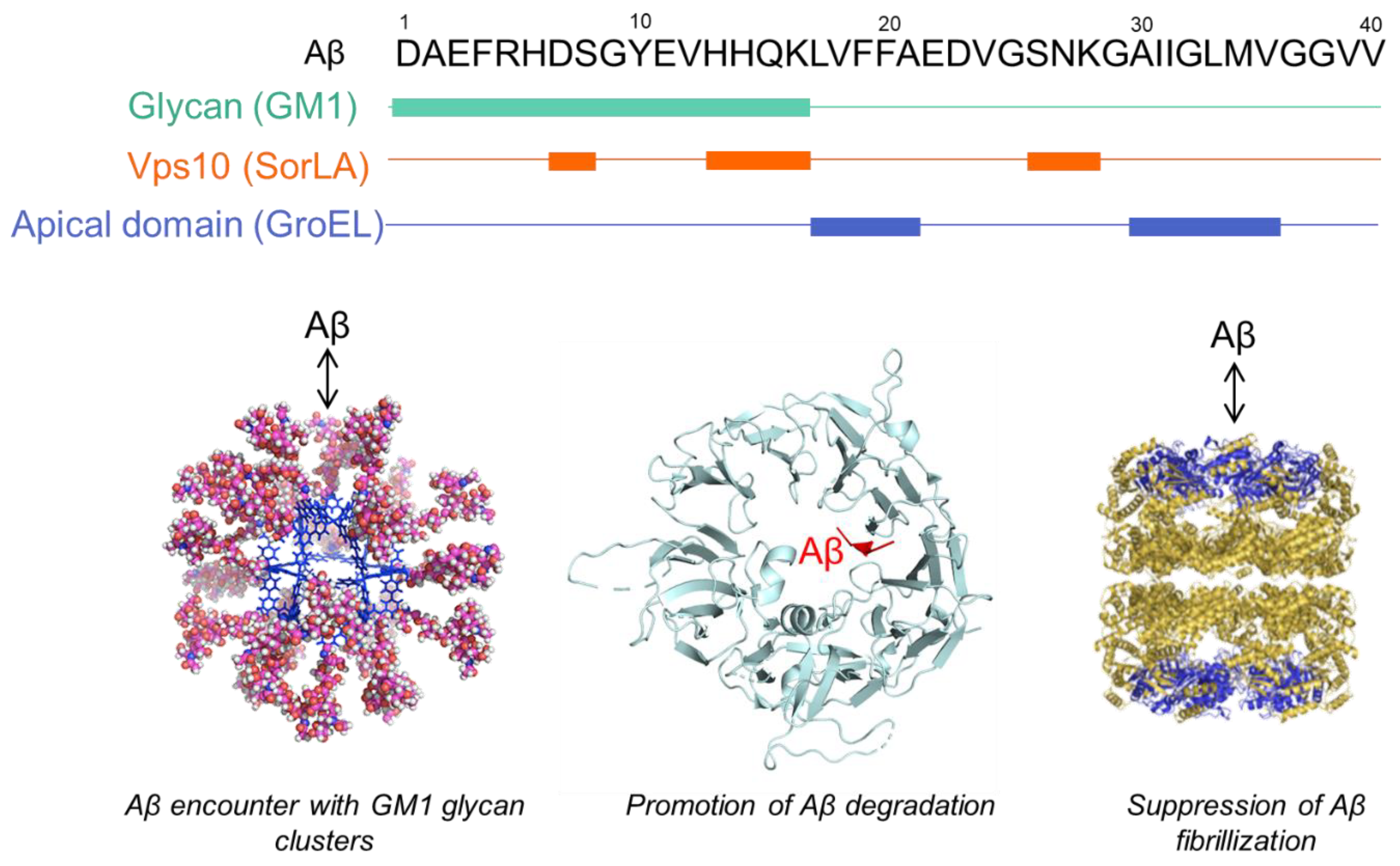 Molecules 27 04787 g001 Molecules 27 04787 g001
