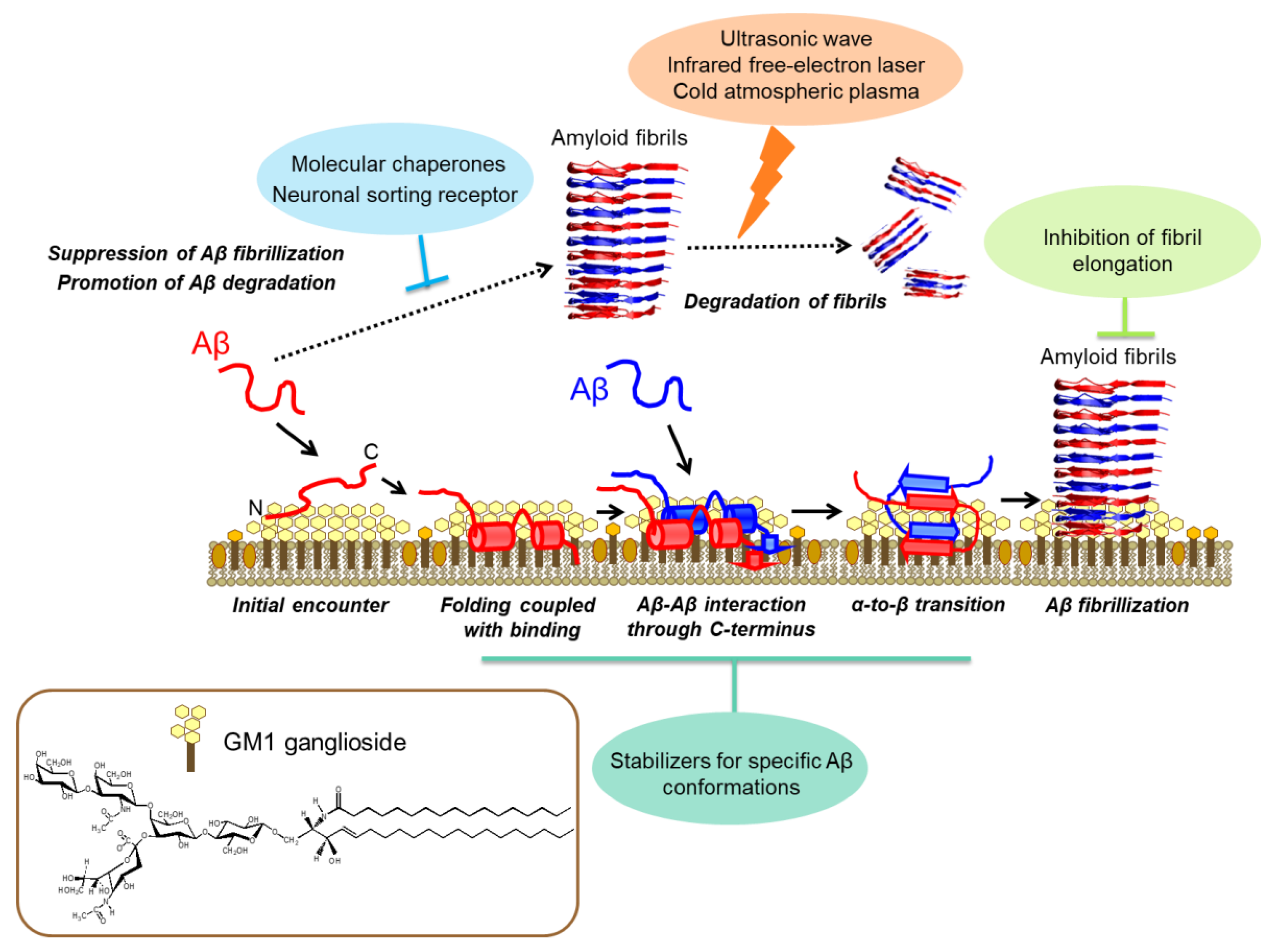 Molecules 27 04787 g002 Molecules 27 04787 g002