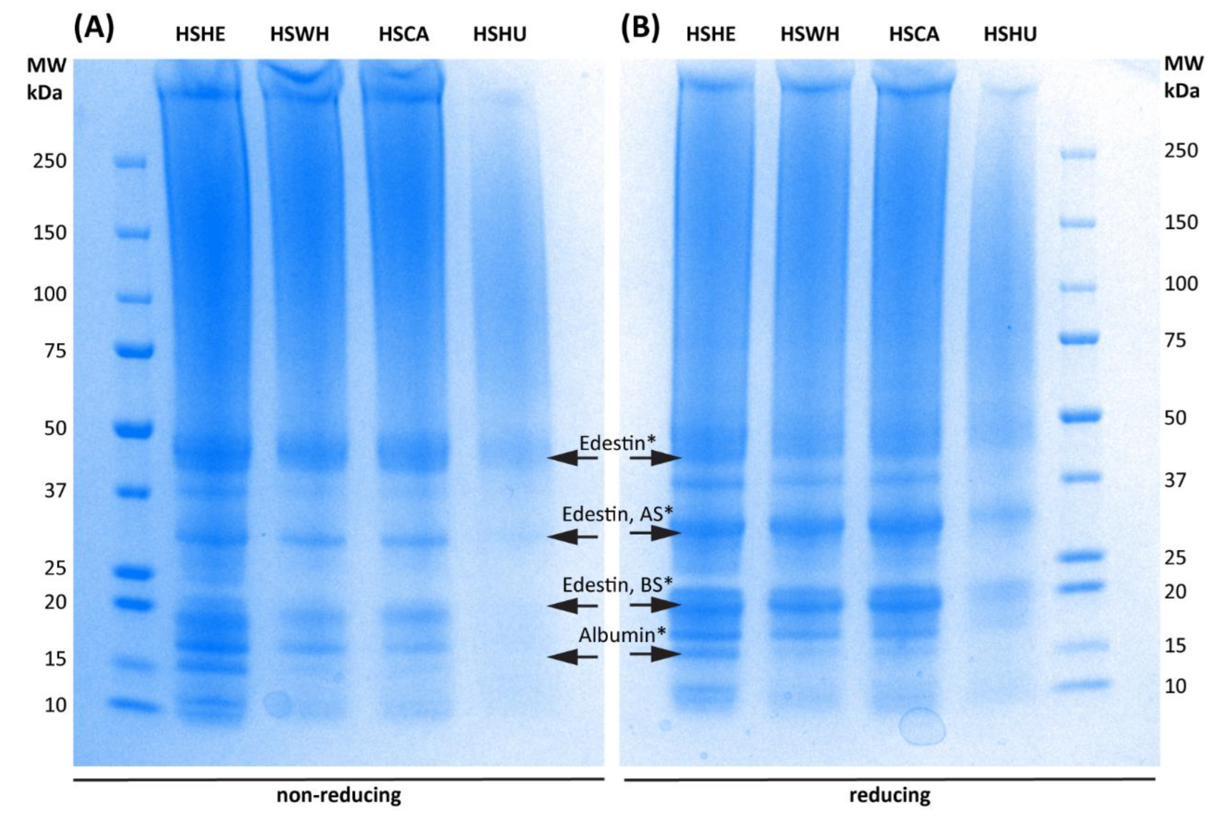 Molecules 27 04794 g003 Molecules 27 04794 g003