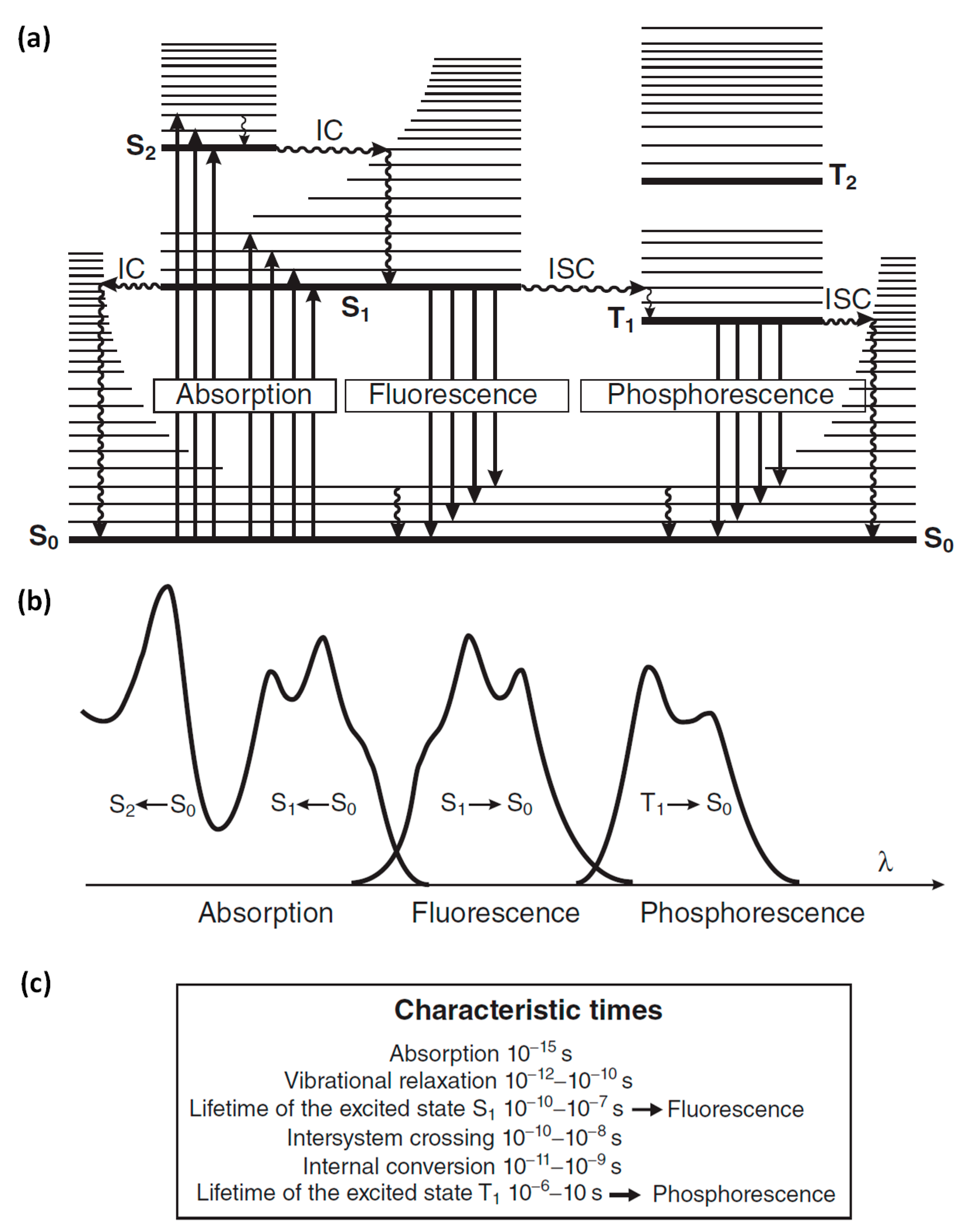 Molecules 27 04801 g001
