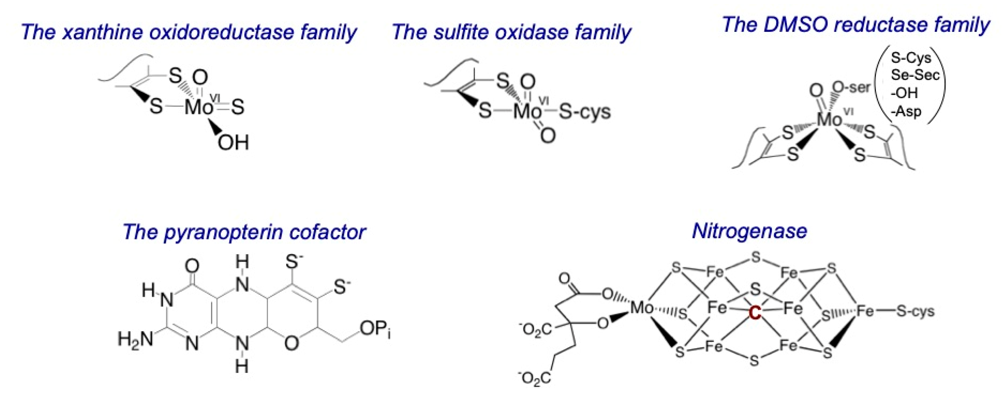 Molecules 27 04802 g001