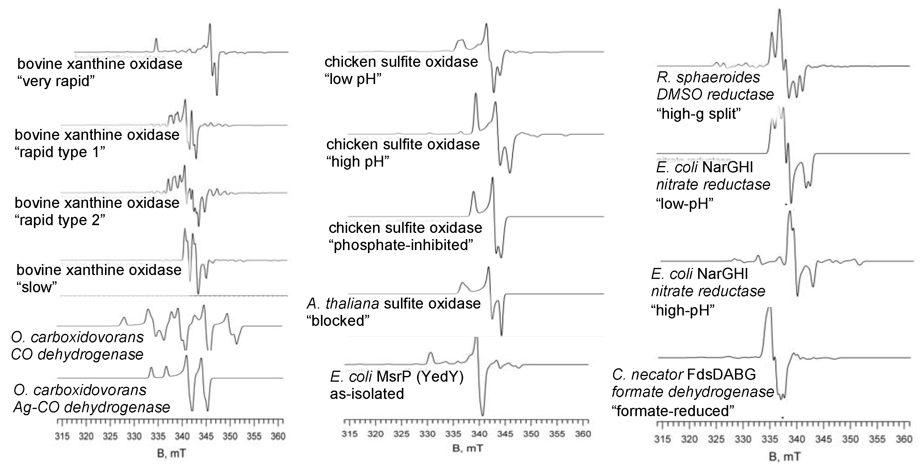Molecules 27 04802 g003