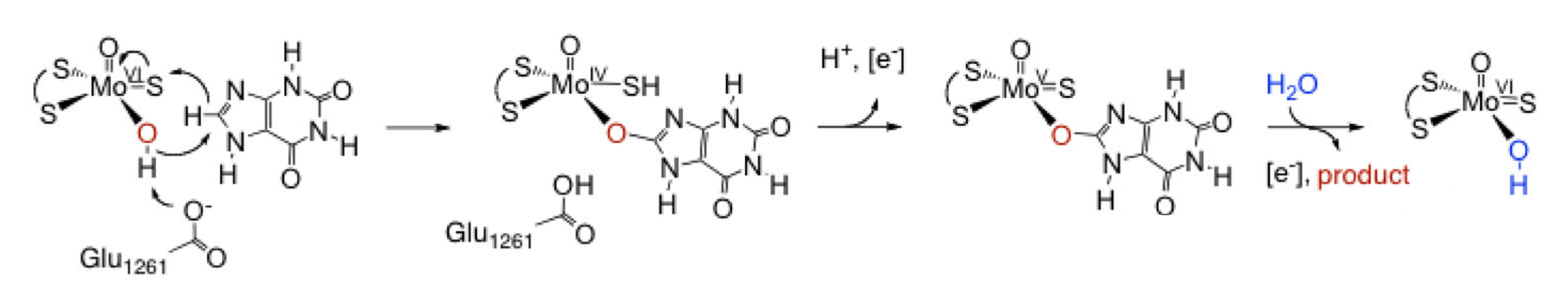 Molecules 27 04802 g004