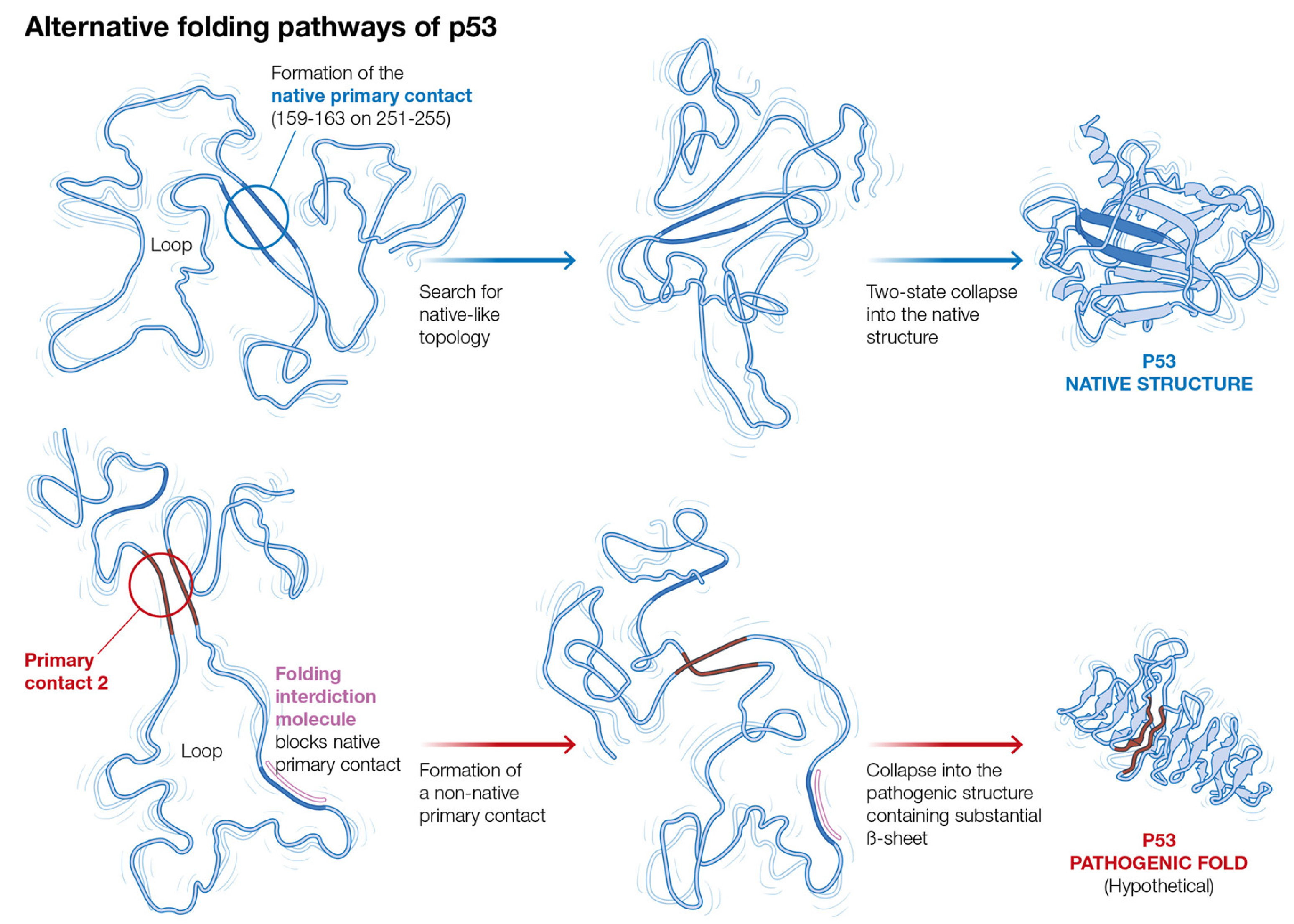 Molecules 27 04810 g004